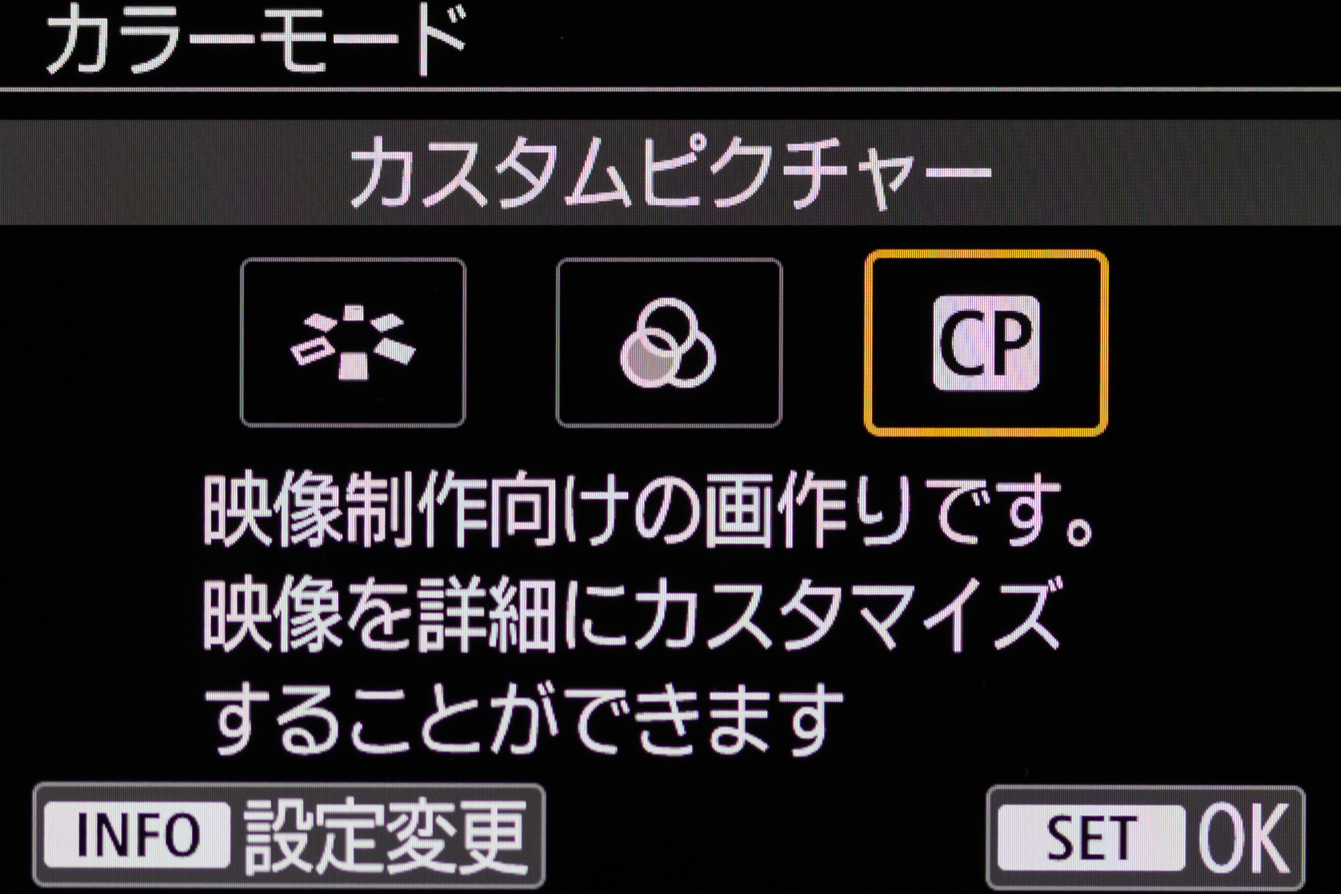Logを使うにはカスタムピクチャーを選択する。ほかには、おなじみのピクチャースタイルなどもある