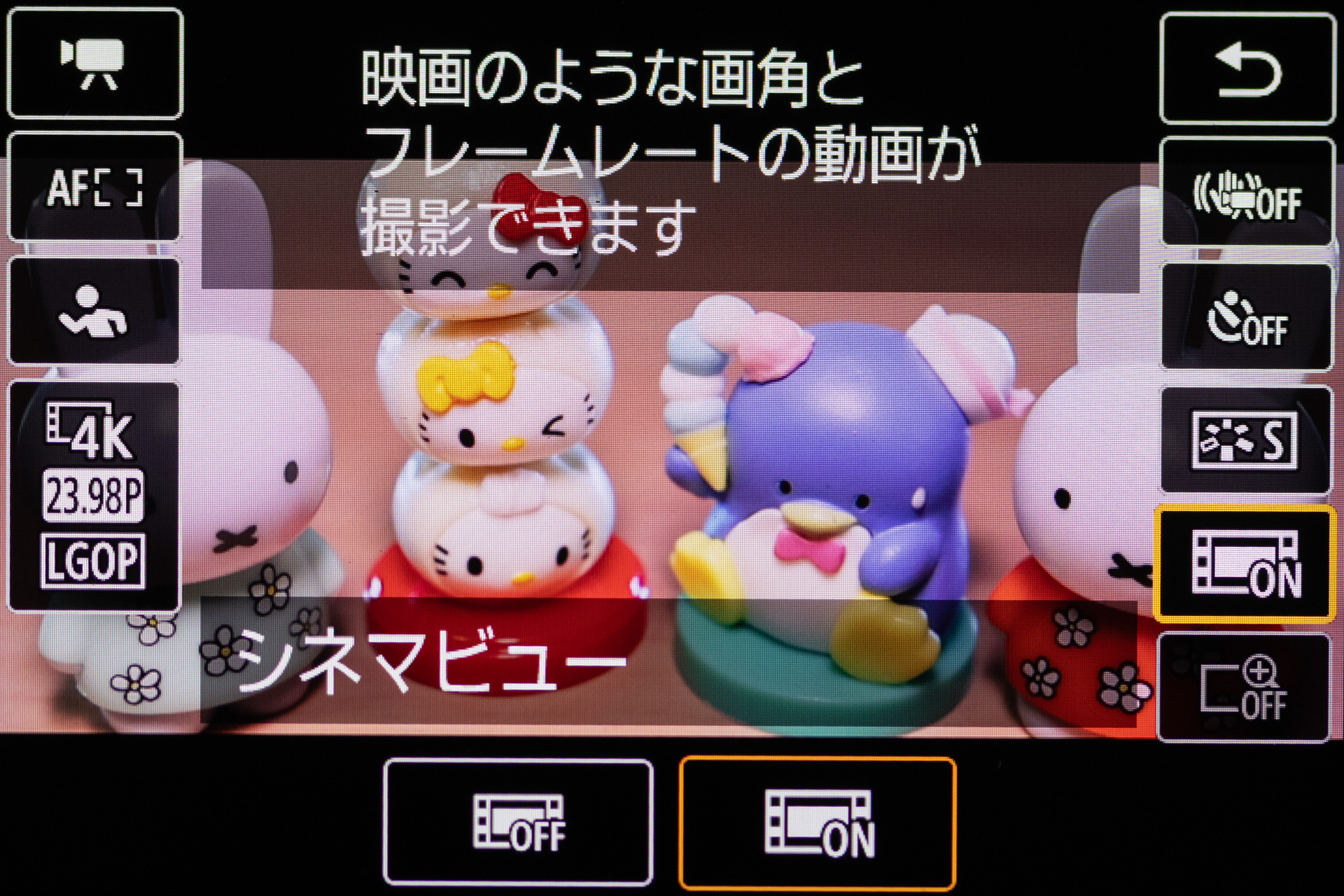 シネマビューの設定画面