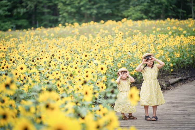ひまわりガーデン