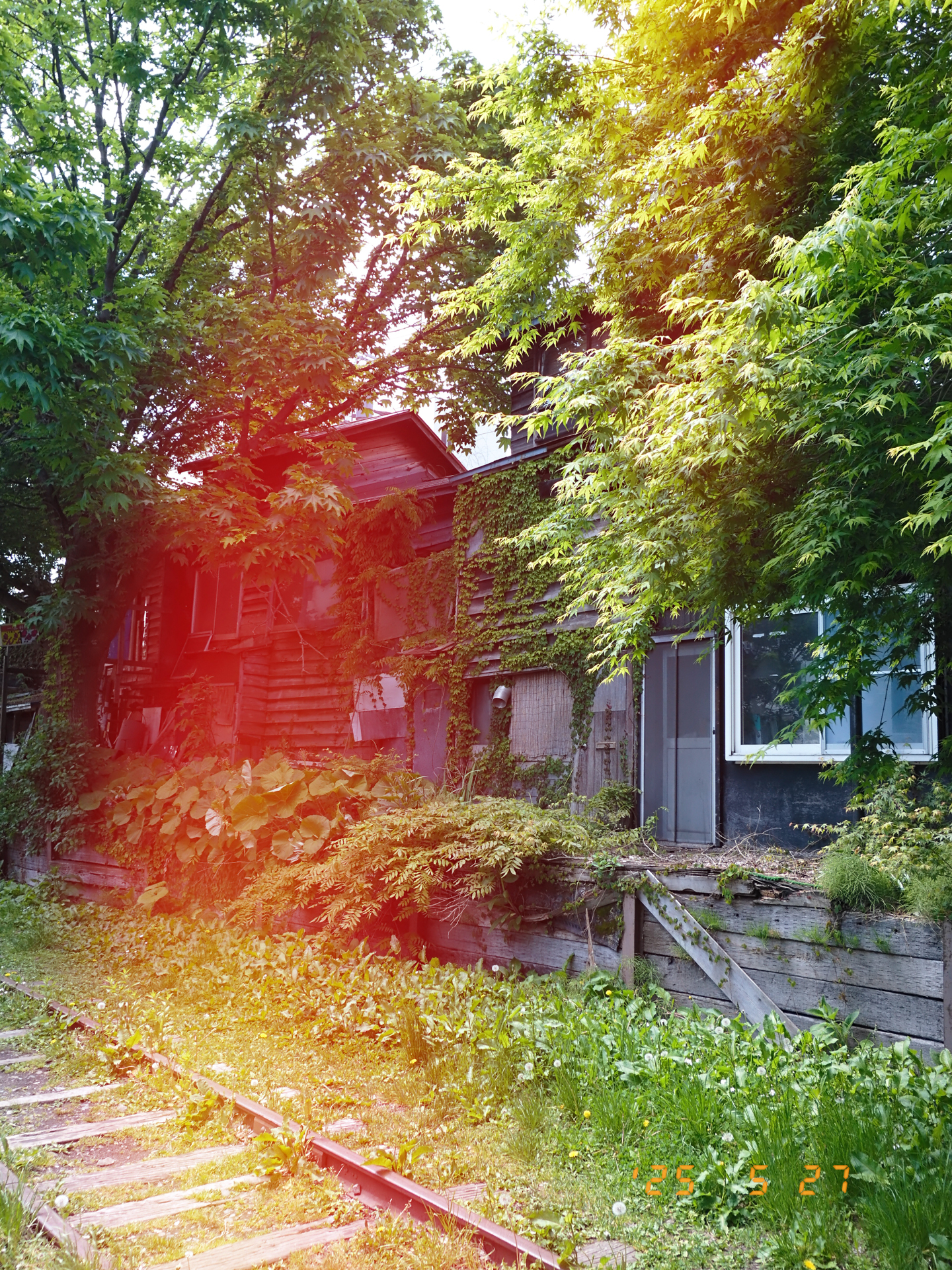 富士フイルム X half（X-HF1）／絞り優先AE（1/210秒、F4.0、±0.0EV）／ISO 200／アドバンストフィルター: ライトリーク