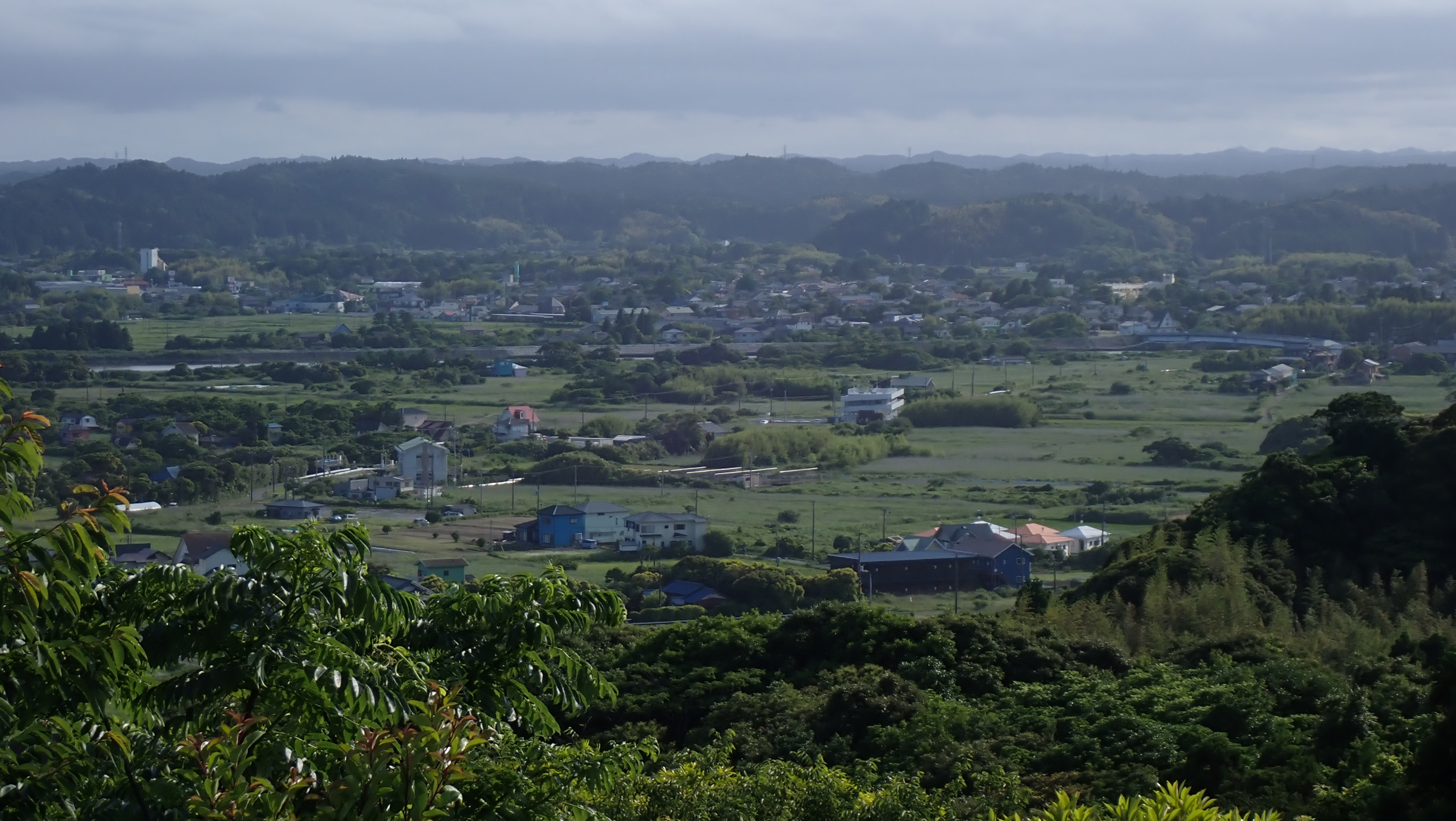 オリンパス（OM SYSTEM）といえばアスペクト比4:3だが、1:1や16:9も選べる。テレ端開放での撮影。JPGではノイズ処理が強めなので高周波の分離が甘くなっている。RAWでノイズとシャープネスを丁寧に行うと、大きく改善できる<br>OM SYSTEM TG-7／（1/400秒、F6.3）／ISO 100