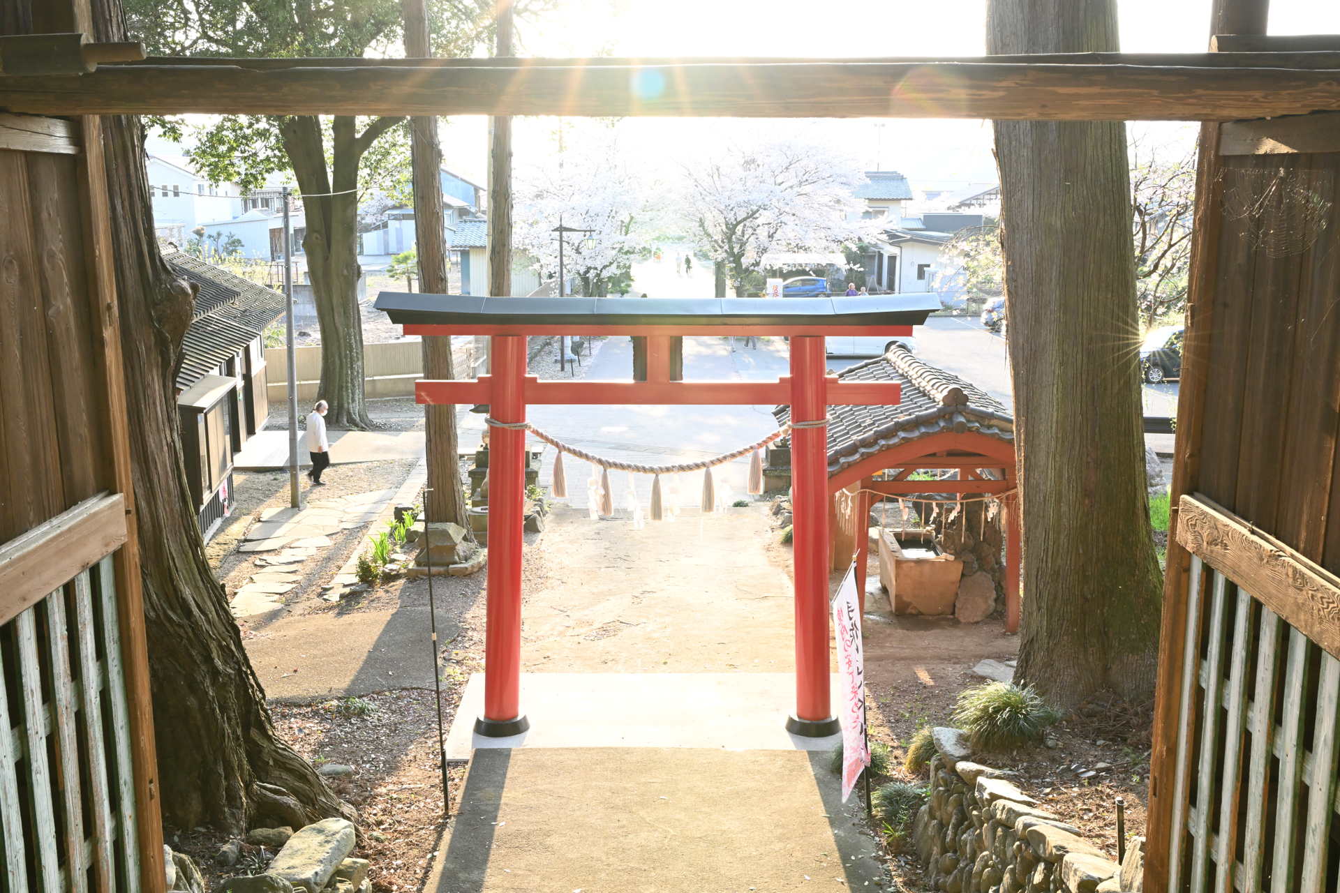 ニコン Z8／NIKKOR Z 35mm f/1.2 S／絞り優先AE（1/40秒、F16、＋2.0EV）／ISO 1250