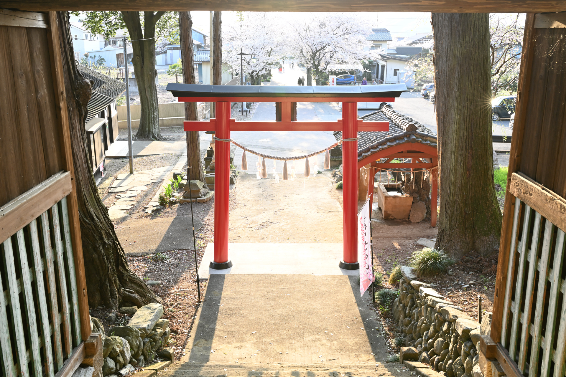 ニコン Z8／NIKKOR Z 35mm f/1.2 S／絞り優先AE（1/40秒、F8.0、＋2.0EV）／ISO 320