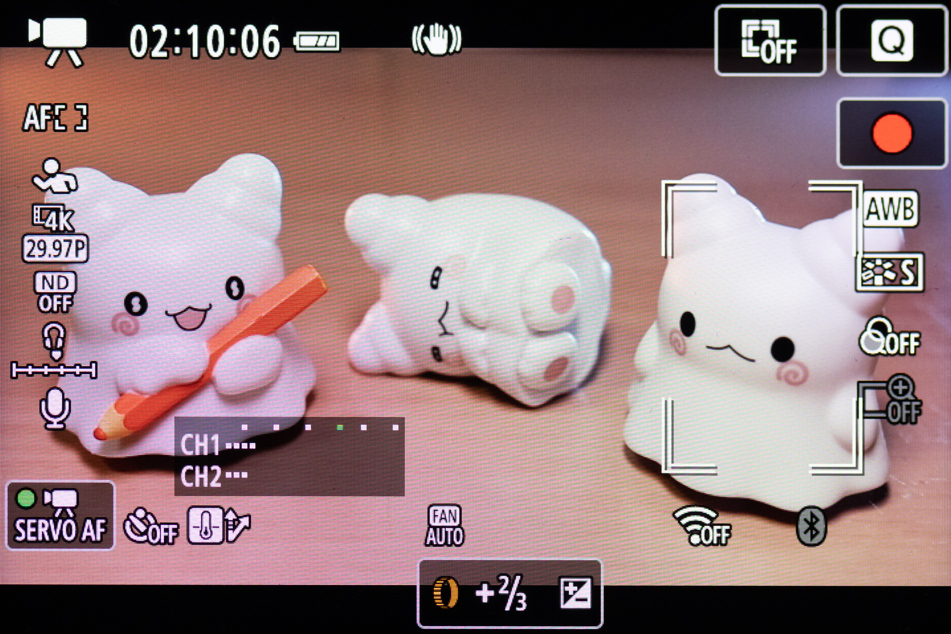 動画時の画面表示