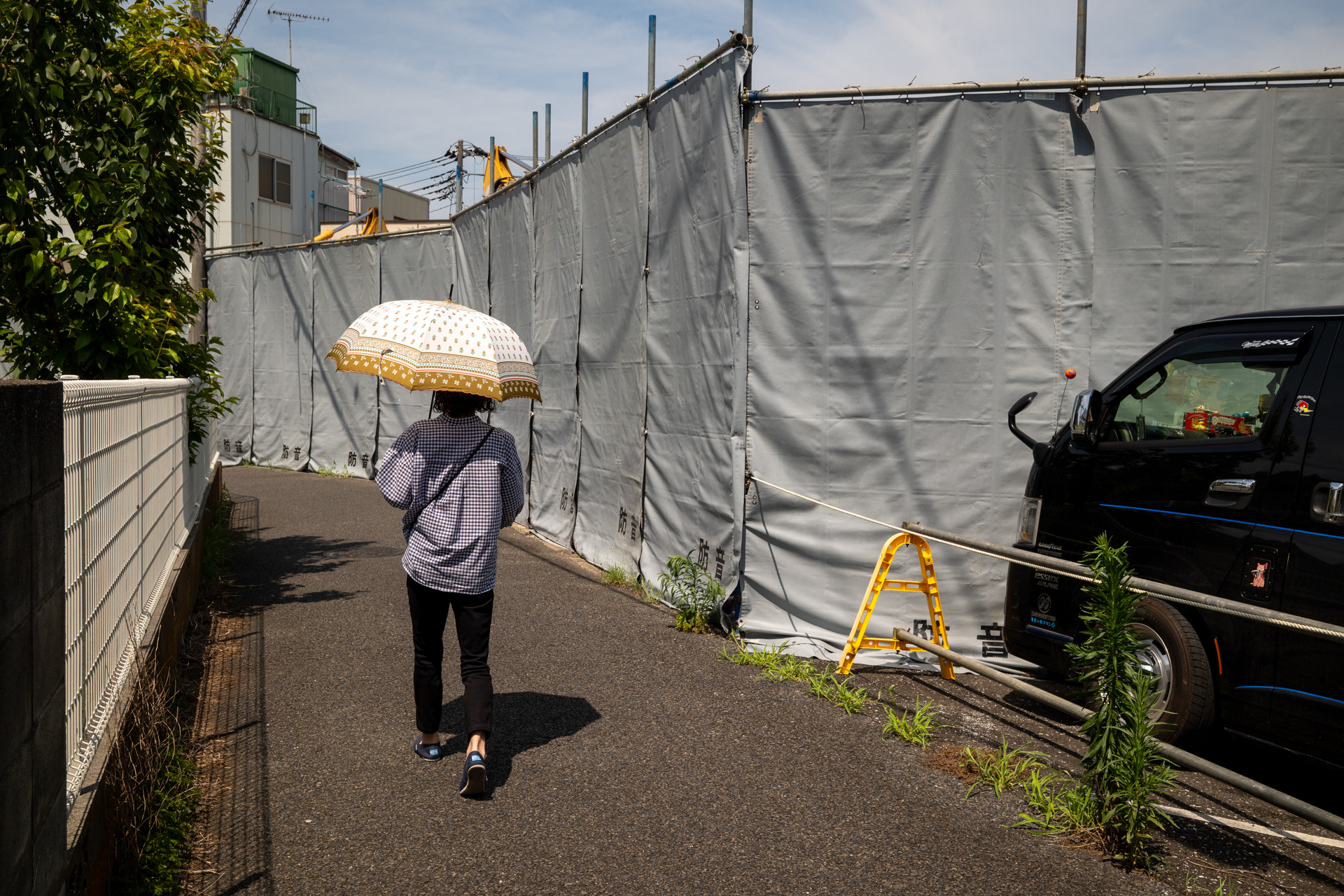 デフォルトではやや温調なイメージでした。この程度はすぐに直せるのですが、色あいがなんとも言えなかったので、そのままとしました。<br><span class="fnt-85">シグマ BF／SIGMA 35mm F2 DG DN Contemporary／絞り優先AE（1/1,250秒、F10、−0.7EV）／ISO 400</span>