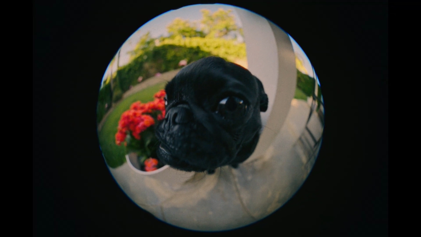 提供：株式会社サイトロンジャパン