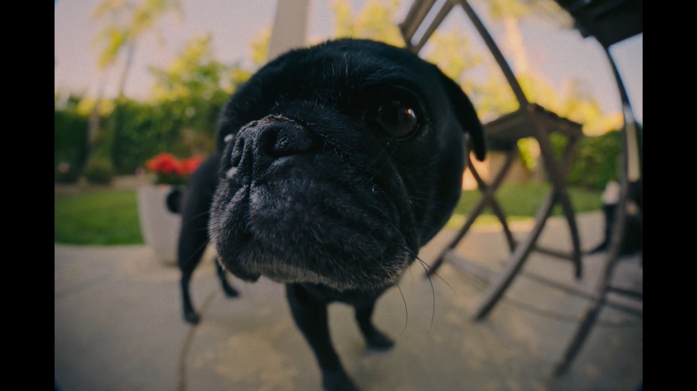 提供：株式会社サイトロンジャパン