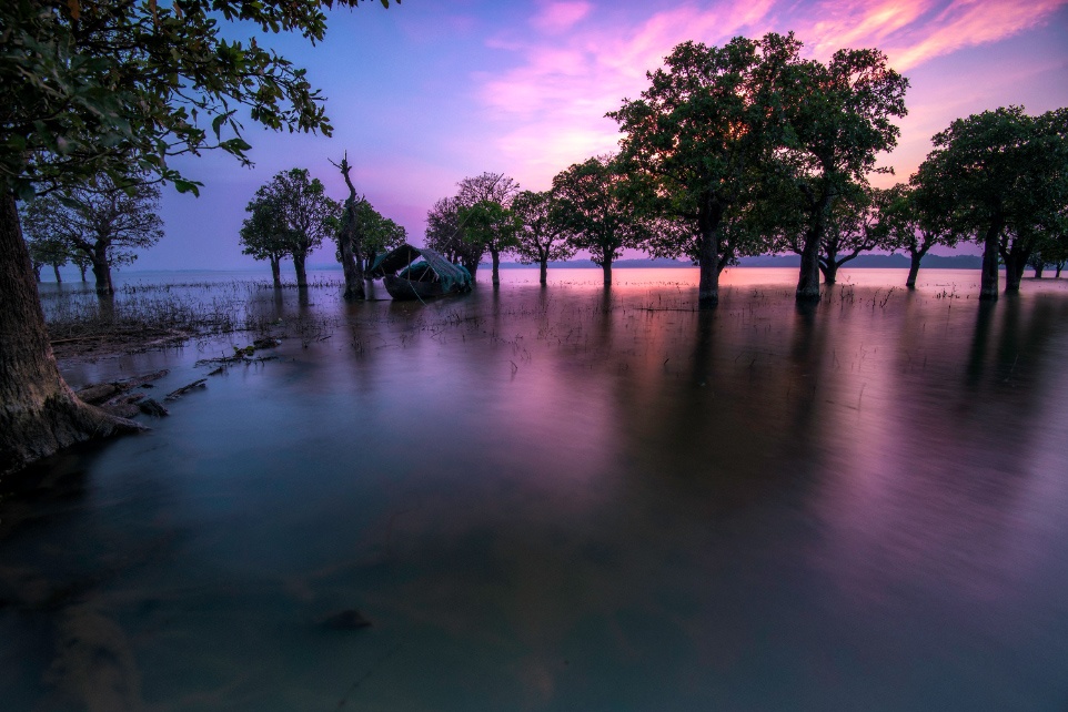 フィルターあり（提供：H＆Y Filters JAPAN）