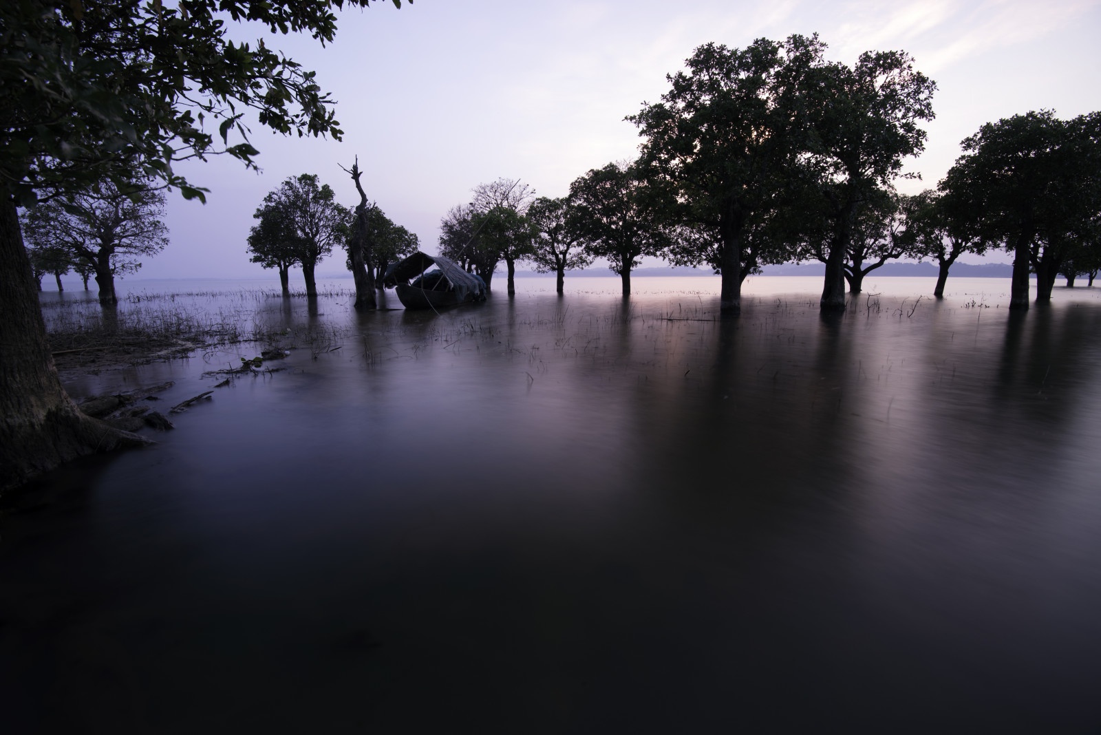 フィルターなし（提供：H＆Y Filters JAPAN）