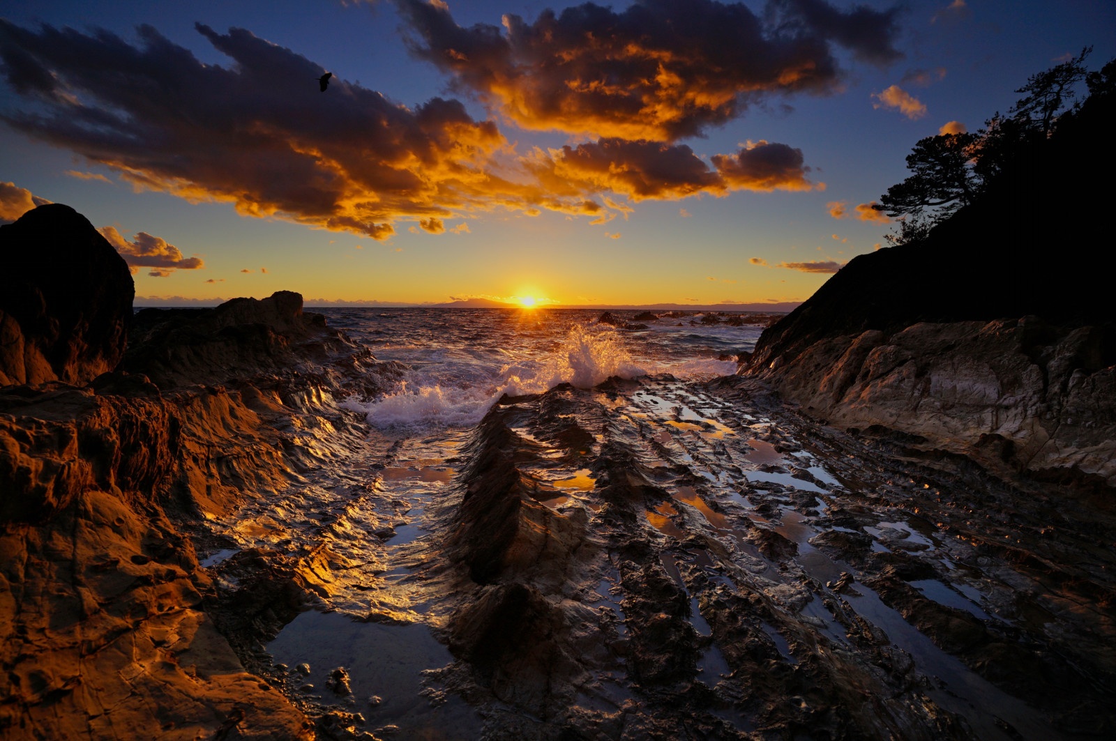 フィルターあり（提供：H＆Y Filters JAPAN）