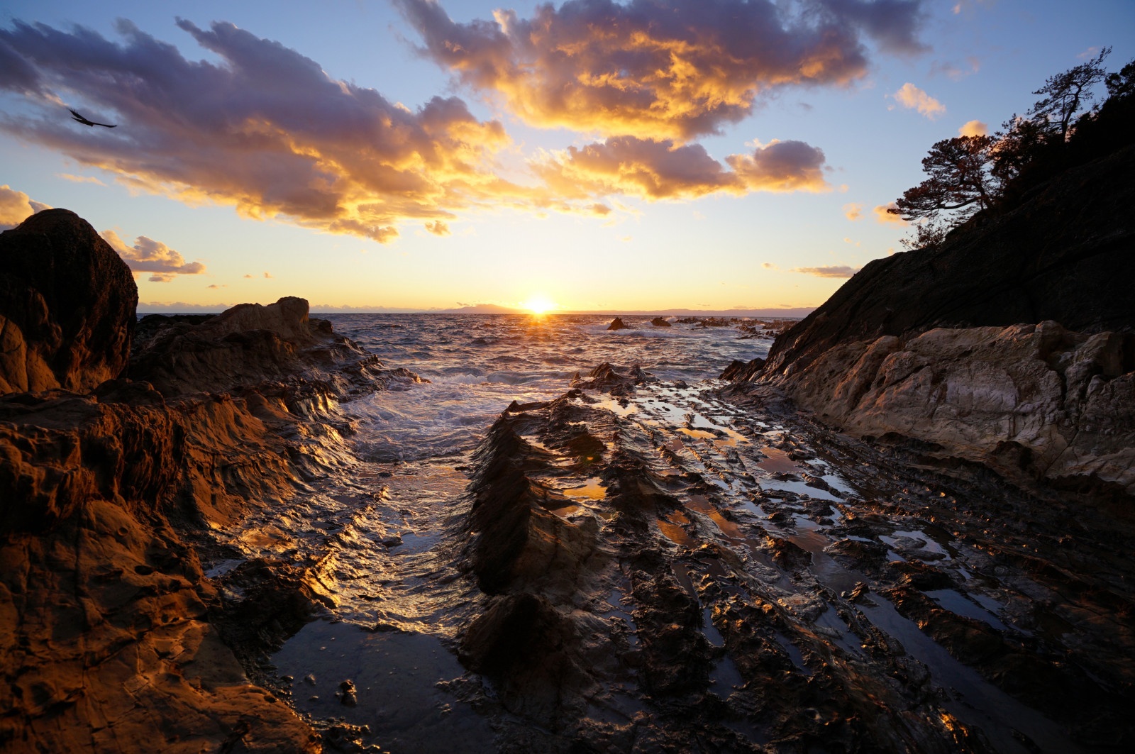 フィルターなし（提供：H＆Y Filters JAPAN）