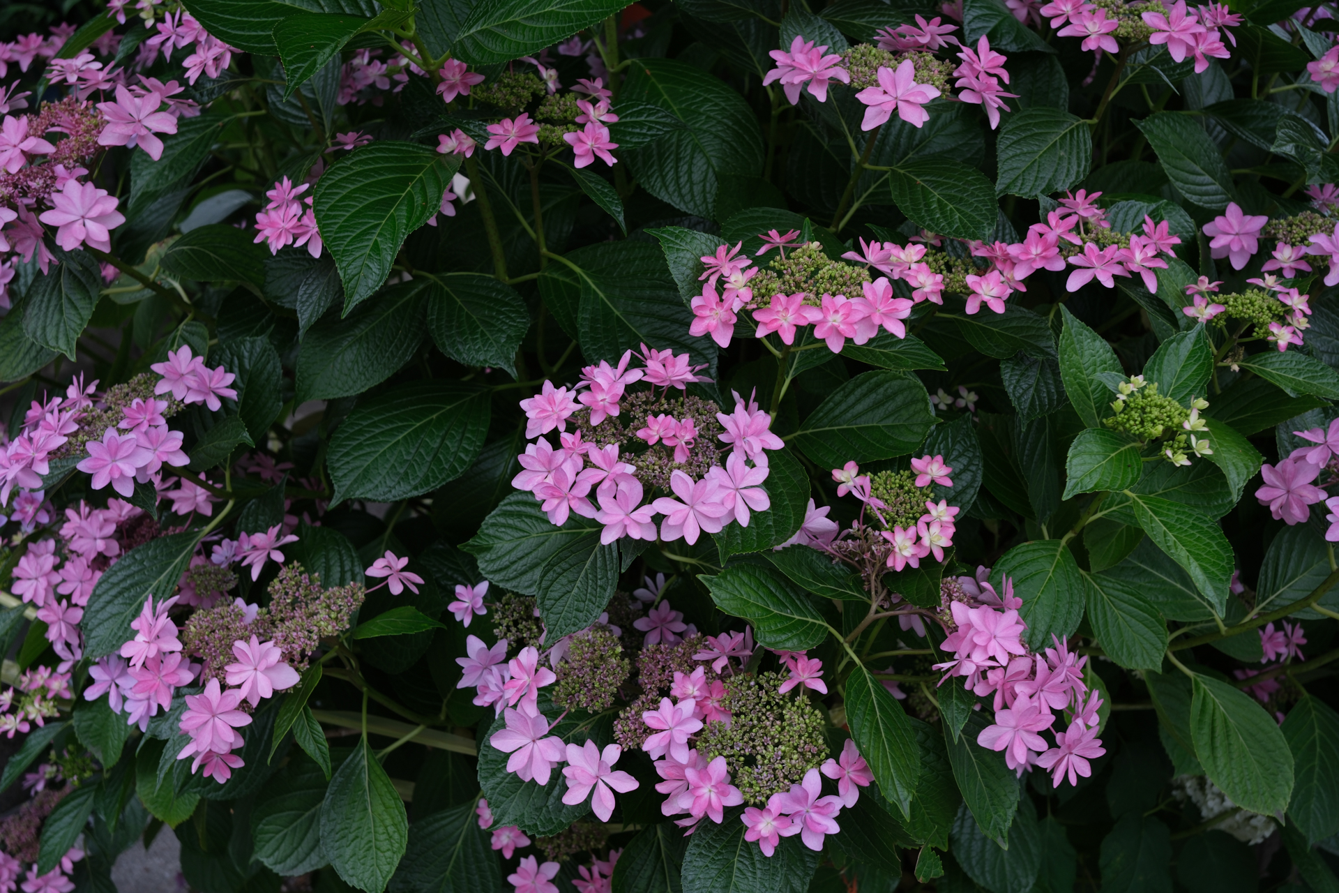 富士フイルム X-E5／XF23mmF2 R WR／23mm（35mm相当）／絞り優先AE（1/45秒、F4.0、−1EV）／ISO 125