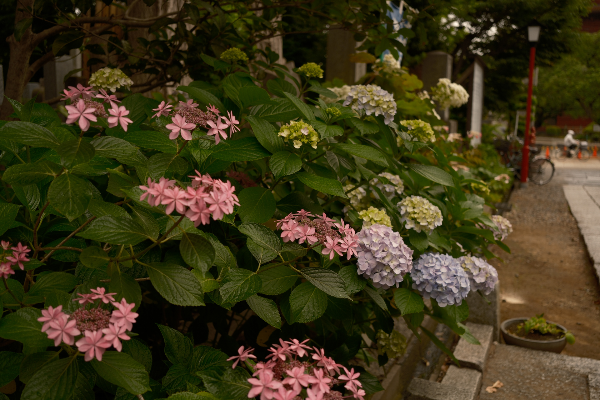 富士フイルム X-E5／XF23mmF2 R WR／23mm（35mm相当）／絞り優先AE（1/60秒、F2.8、−1.3EV）／ISO 125／フィルムシミュレーション: ノスタルジックネガ