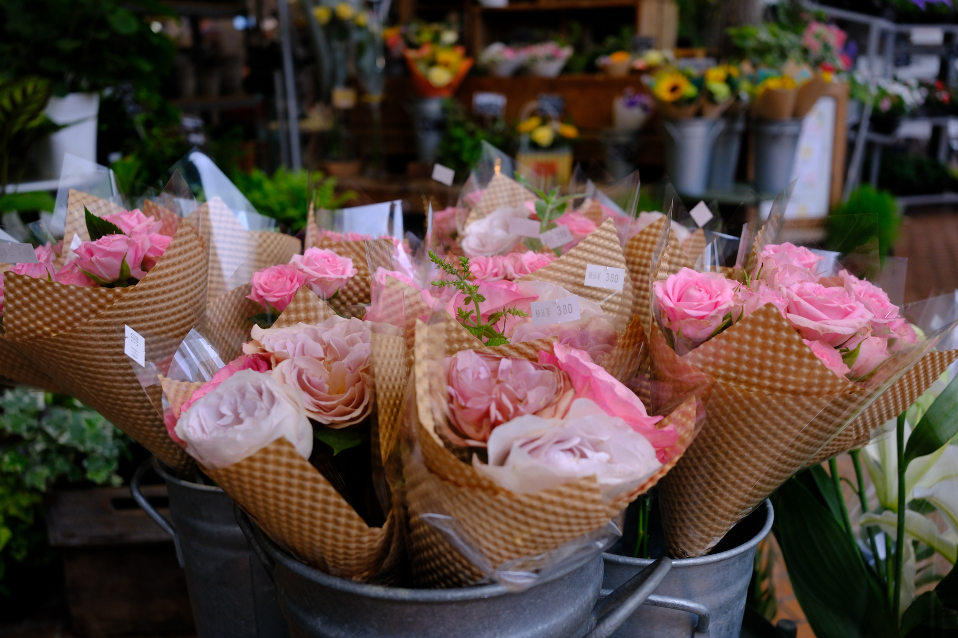 富士フイルム X-E5／XF23mmF2 R WR／23mm（35mm相当）／絞り優先AE（1/110秒、F4.0、−0.3EV）／ISO 400