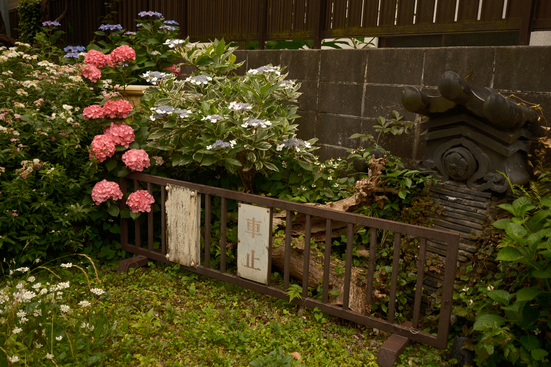 富士フイルム X-E5／XF23mmF2 R WR／23mm（35mm相当）／絞り優先AE（1/100秒、F2.8、−1EV）／ISO 250