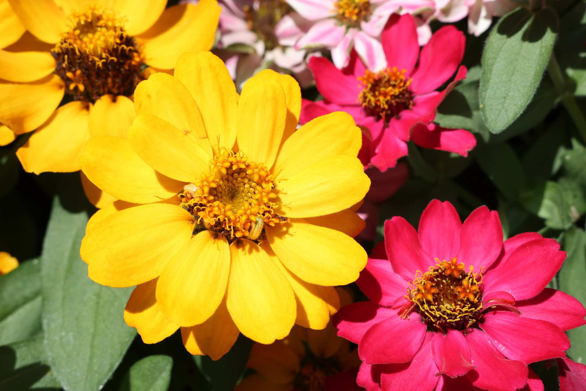 キヤノン PowerShot V1／25.6mm／マニュアル露出（1/320秒、F8.0、±0.0EV）／ISO 100