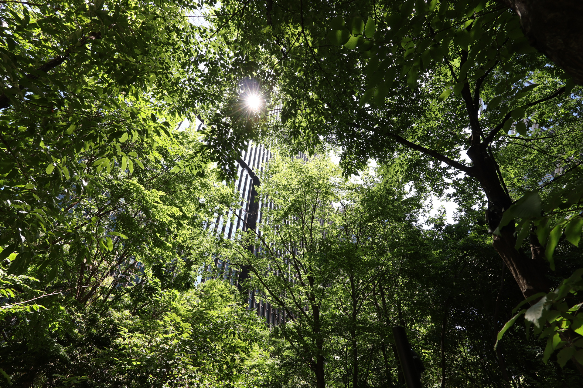 キヤノン PowerShot V1／8.2mm／絞り優先AE（1/100秒、F5.6、±0.0EV）／ISO 100