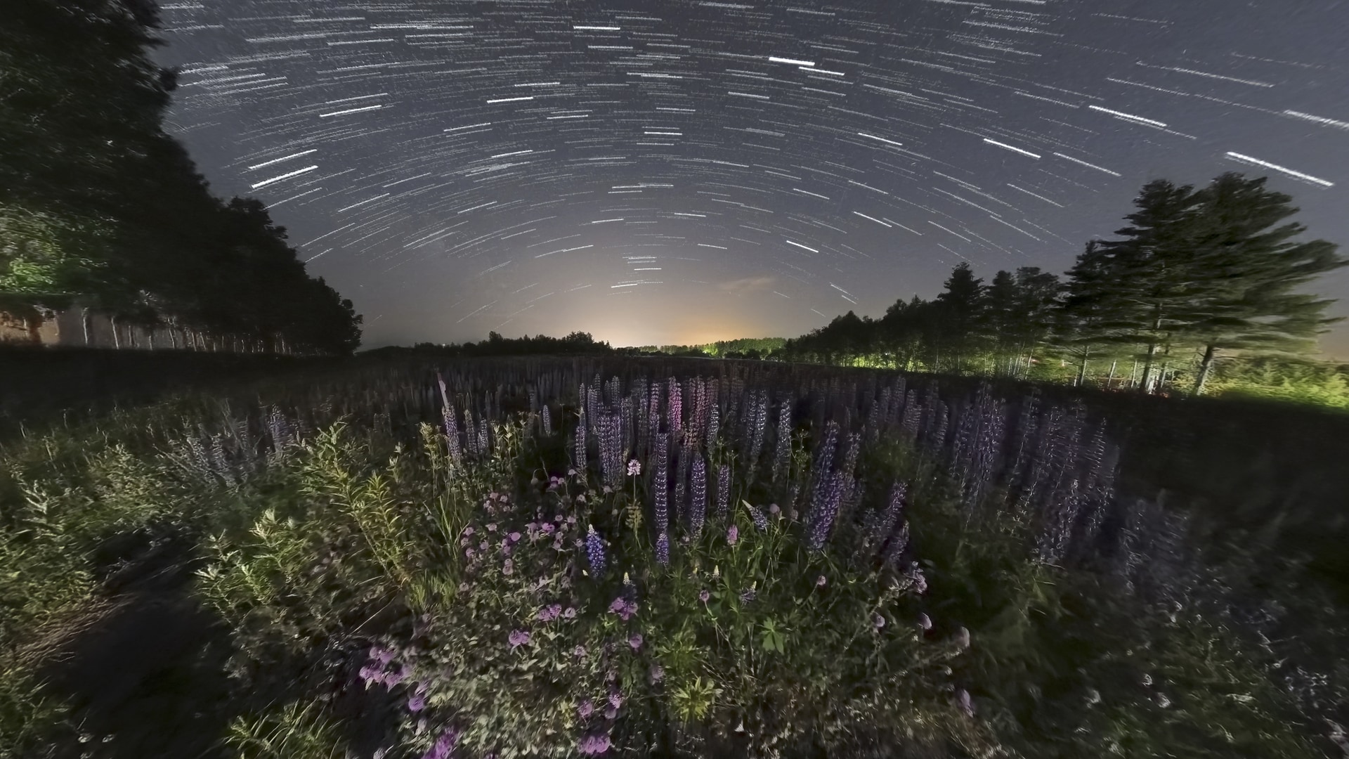 星の撮影で活用したいのがスターラプス機能。この機能を使えば、星の軌跡を描き出し、時間の流れを視覚的に表現できる光跡の写真が楽しめる。さらに、Insta360 STUDIOではスターラプス動画からも光跡の写真を自動で生成できる。通常の星空写真だけではなく、さまざまな星空表現ができるのも魅力だろう<br><span class="fnt-85">マニュアル露出（F2、20秒）／ISO 1600／WB：オート／撮影地：北海道</span>
