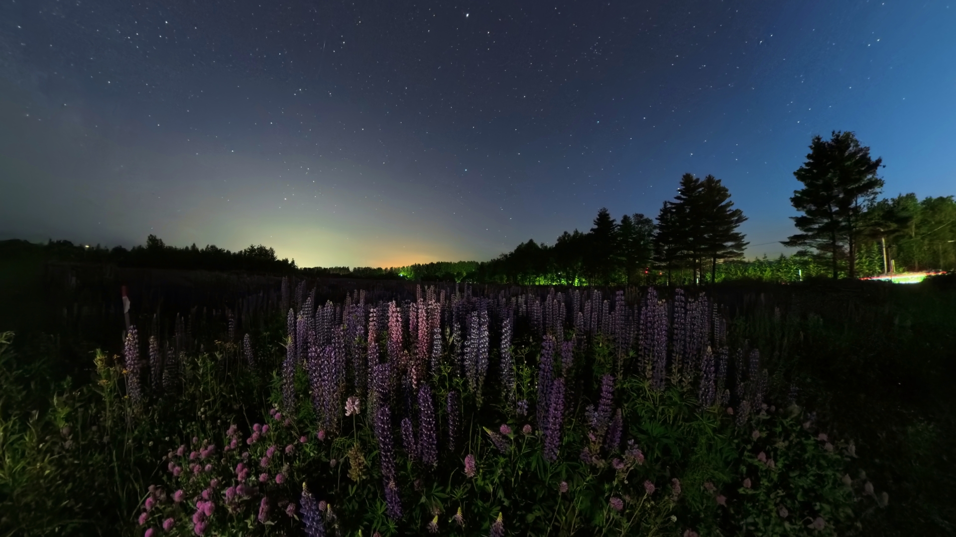 <span class="fnt-85">マニュアル露出（F2、25秒）／ISO 800／WB：オート</span>