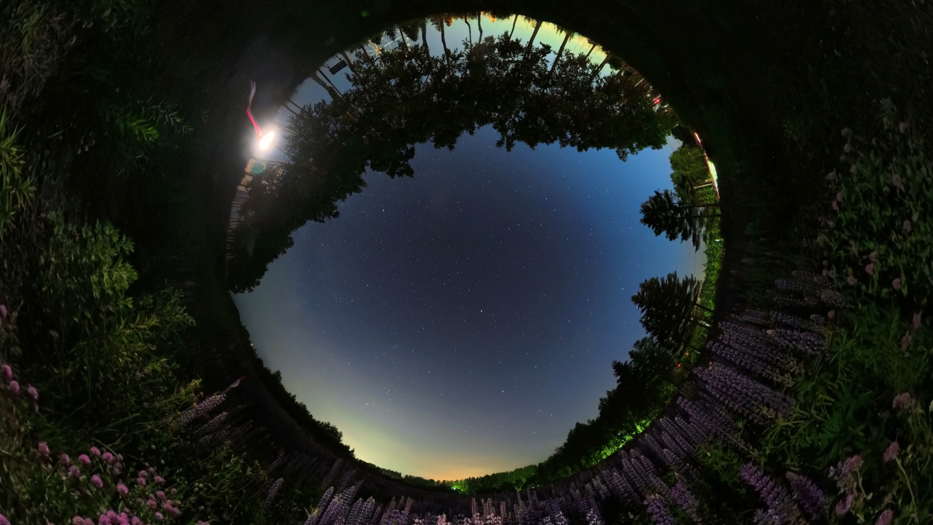 <span class="fnt-85">マニュアル露出（F2、25秒）／ISO 800／WB：オート</span>