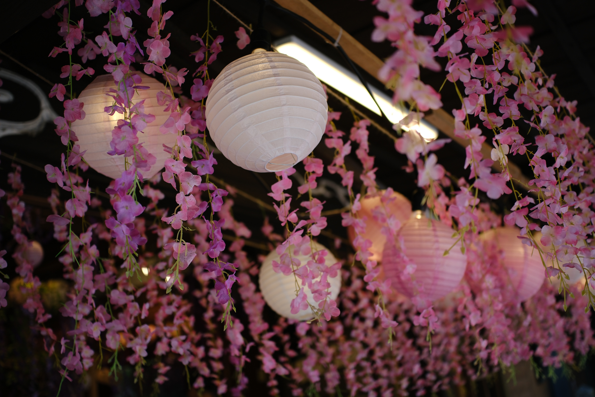 富士フイルム X-H2S／Viltrox AF 25mm F1.7 AIR／25mm（38mm相当）／絞り優先AE（1/480秒、F1.7、−0.3EV）／ISO 160