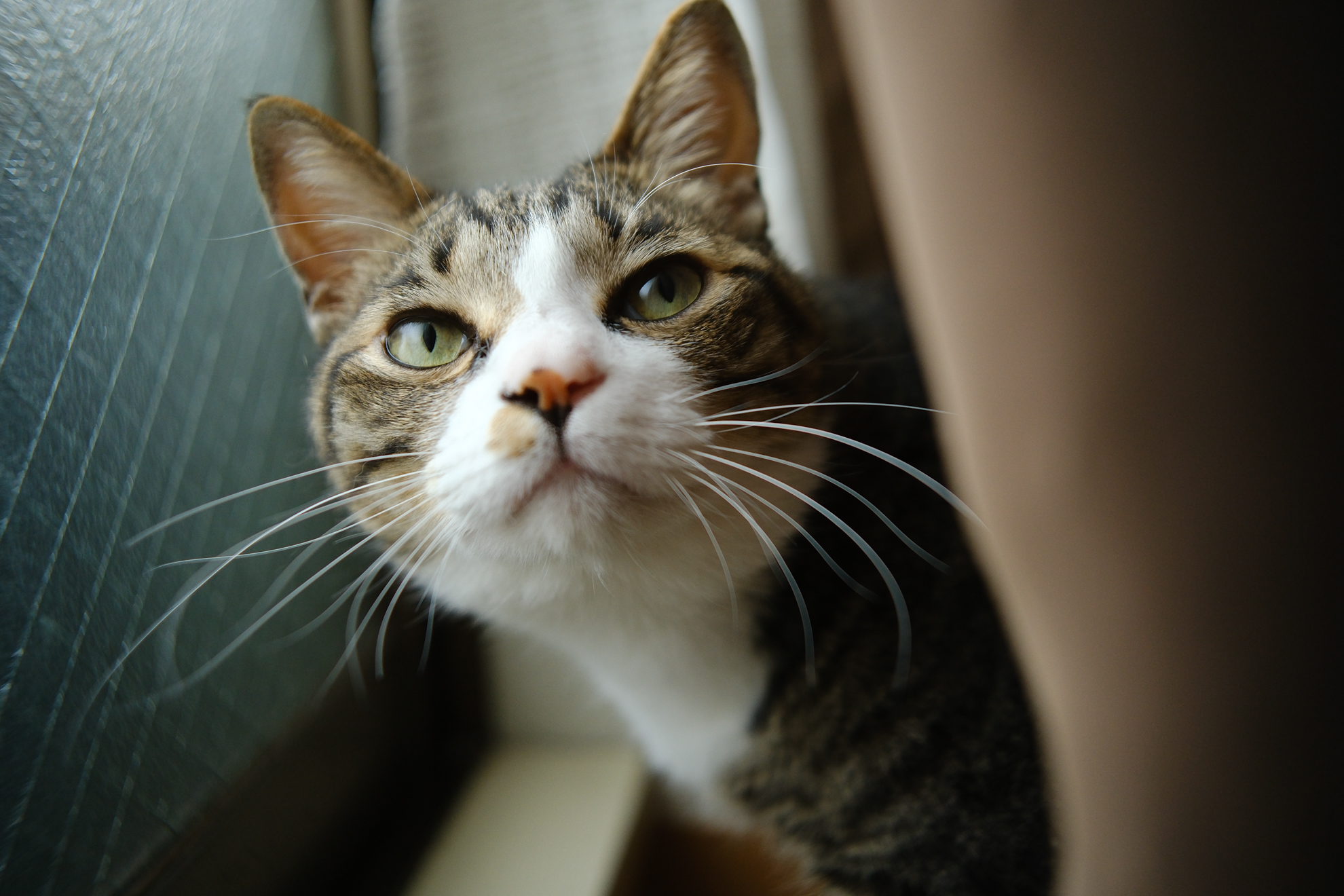 富士フイルム X-H2S／TTArtisan AF 23mm F1.8／23mm（35mm相当）／絞り優先AE（1/1,700秒、F1.8、−0.7EV）／ISO 800