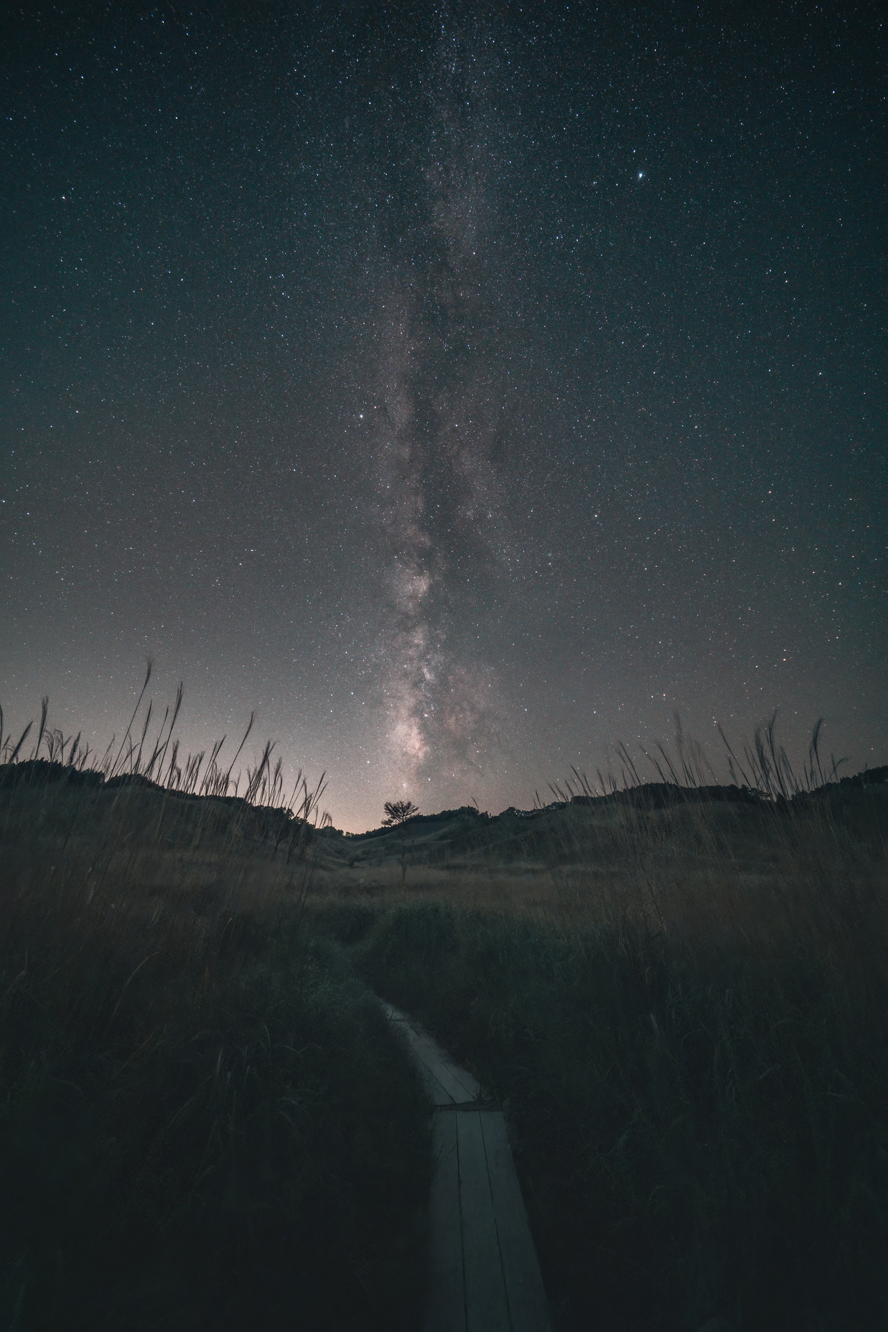足元の木道のディテールを写し込みながら、頭上に広がる天の川をダイナミックに収めた。星空のスケールと輝きの臨場感を表現できる<br><span class="fnt-85">ソニー α7R V／9mm／マニュアル露出（F5.6、15秒）／ISO 12800／WB：オート</span>