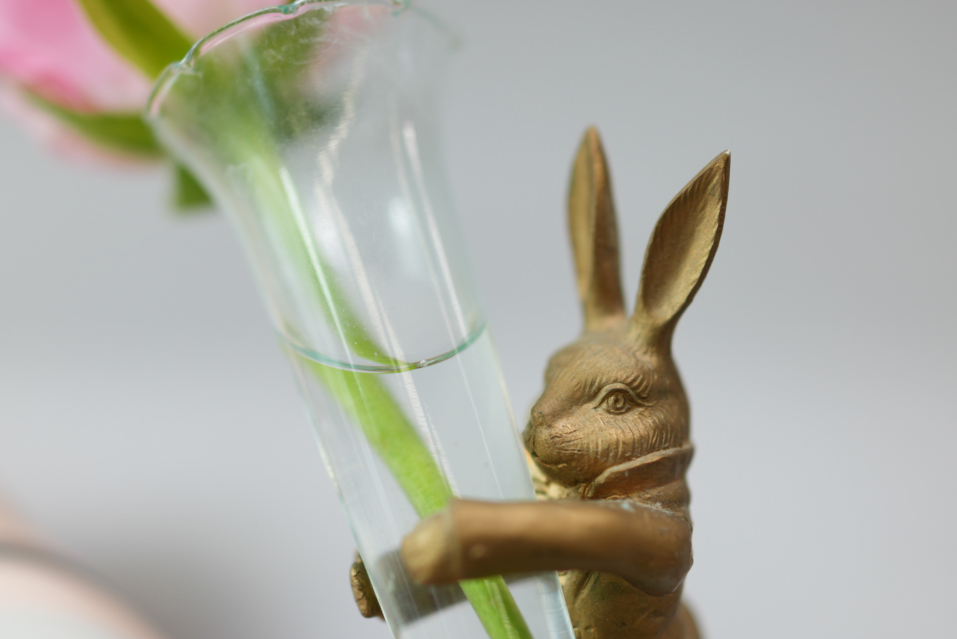 ソニー RX1R III／マニュアル露出（1/160秒、F2.0）／ISO 160