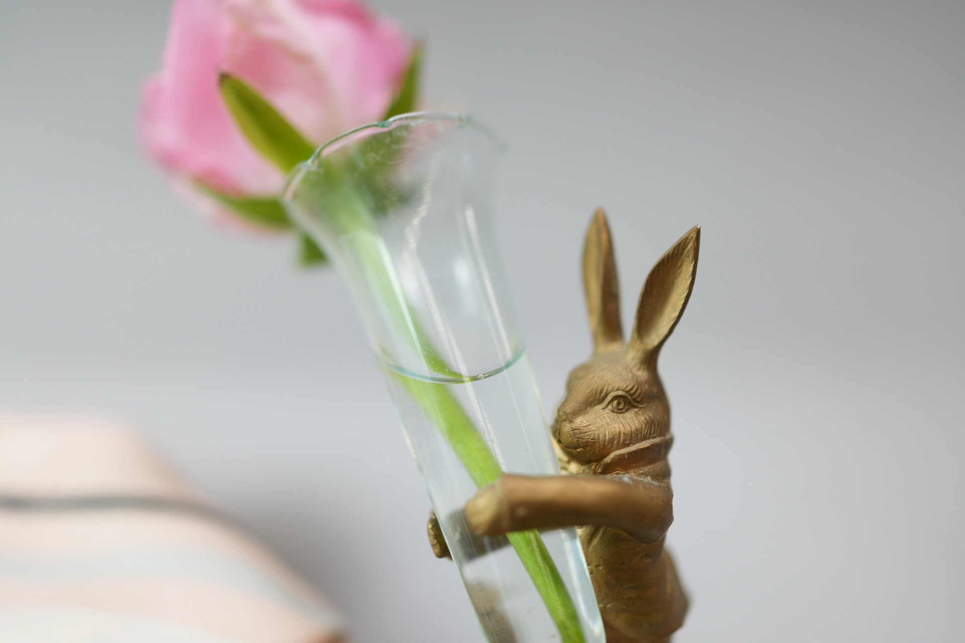 ソニー RX1R III／マニュアル露出（1/160秒、F2.0）／ISO 160