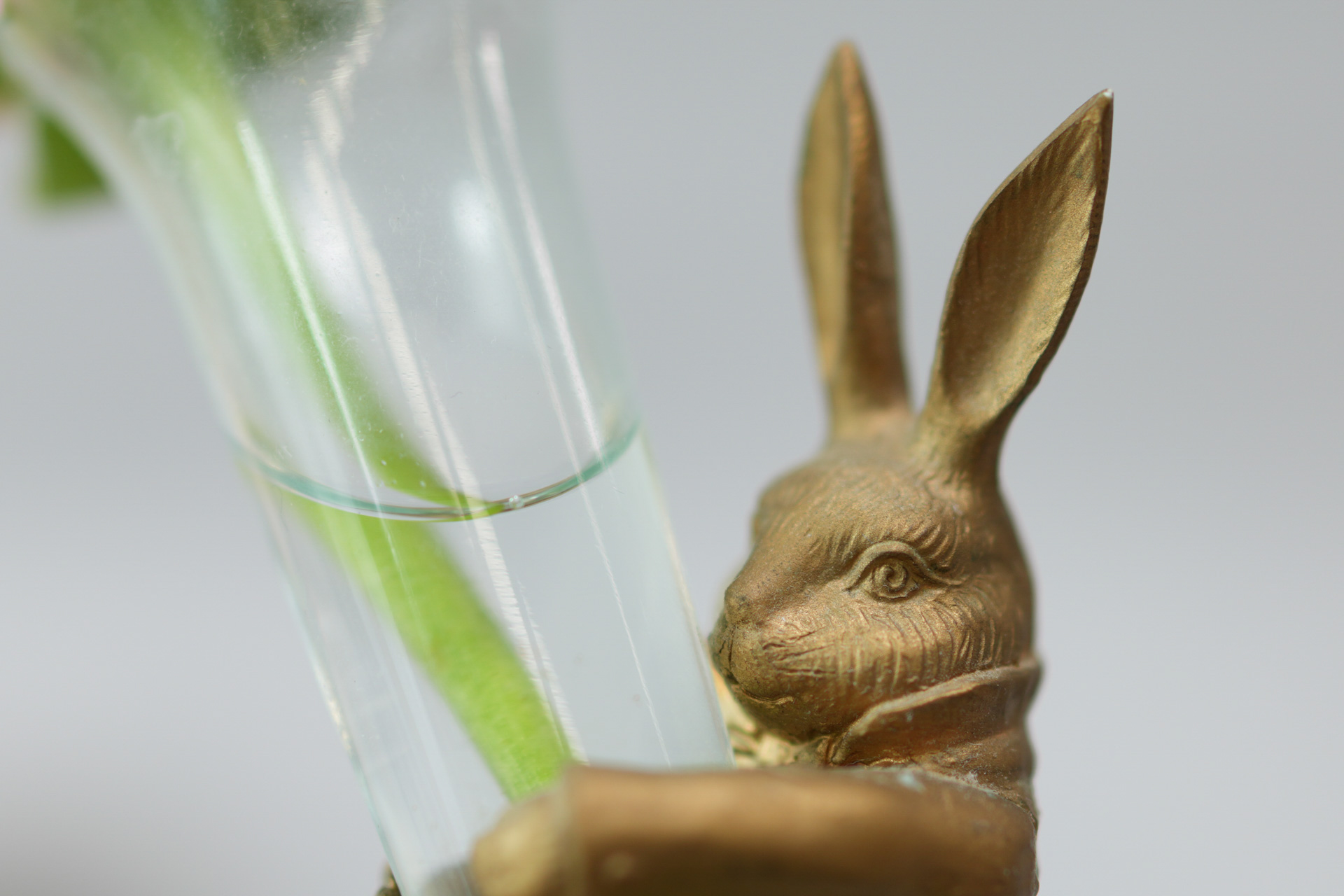 ソニー RX1R III／マニュアル露出（1/160秒、F2.0）／ISO 160