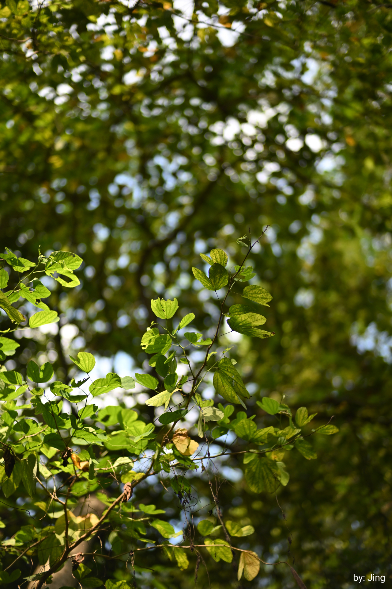 画像サンプル（画像提供：E&Iクリエイション株式会社）