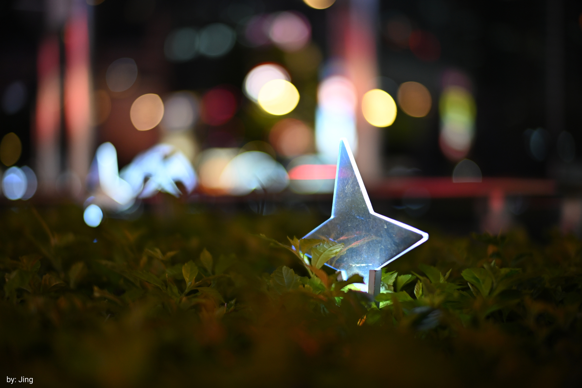 画像サンプル（画像提供：E&Iクリエイション株式会社）