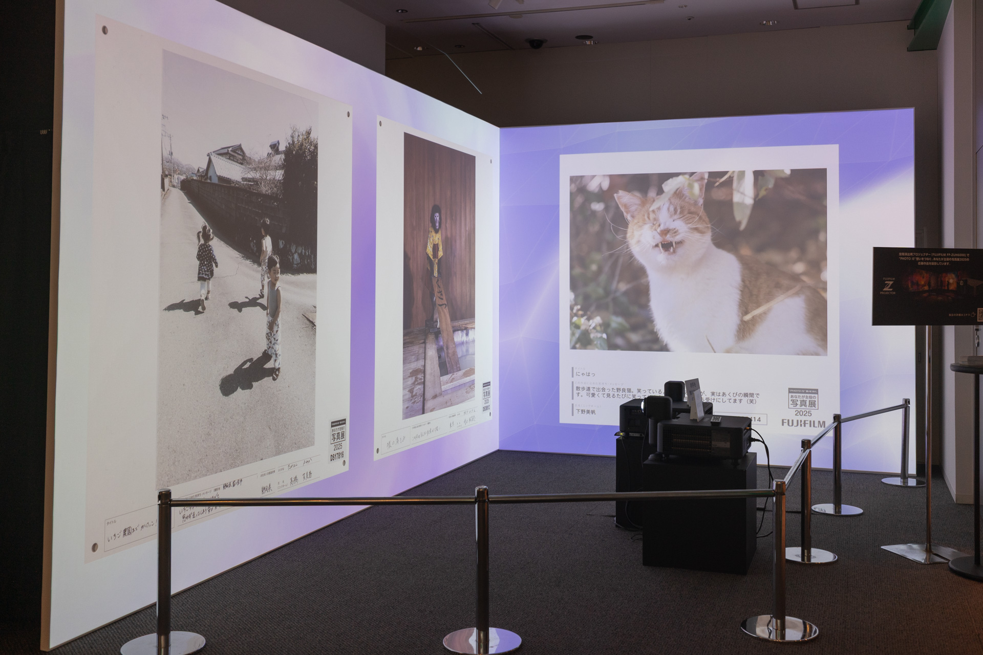 同社製プロジェクターによる展示も