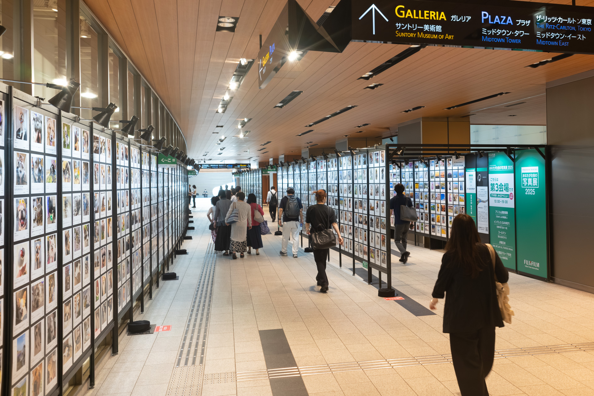 第3会場はプラザB1メトロアベニュー。長い通路に沿って作品がずらりと並ぶ。