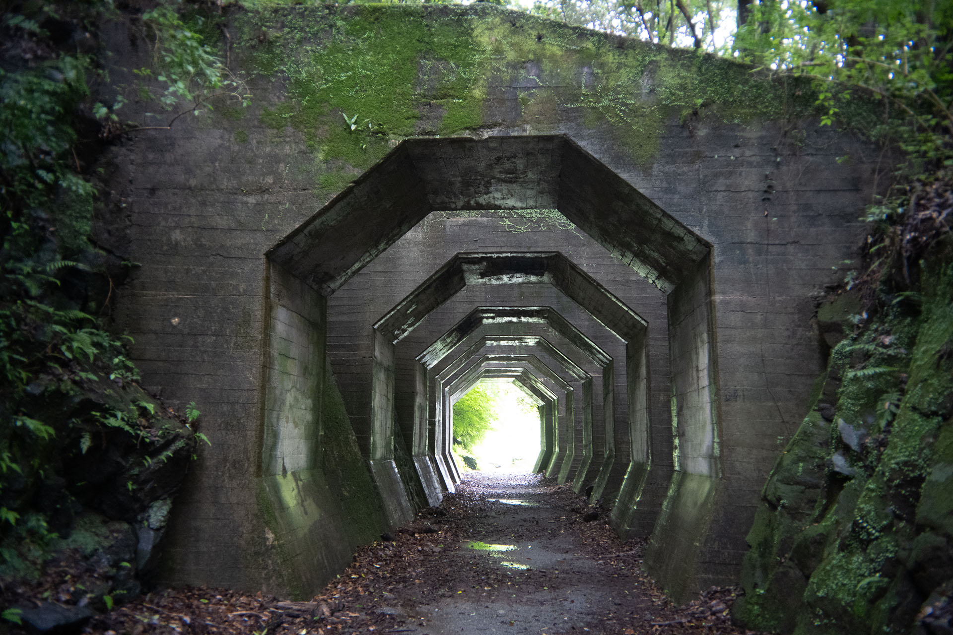 提供：合同会社ギズモン