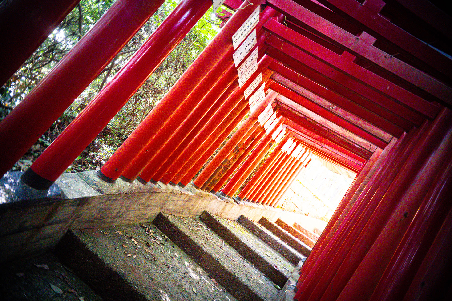 提供：合同会社ギズモン