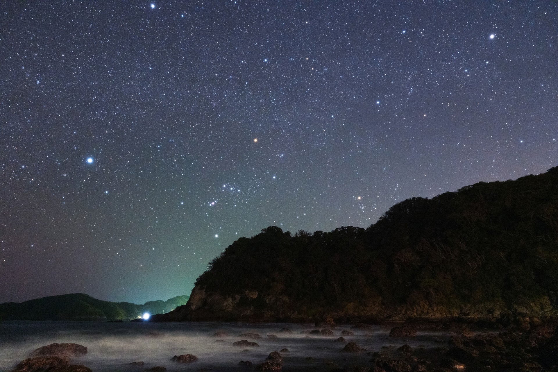 「リア プロソフトン No.100」使用