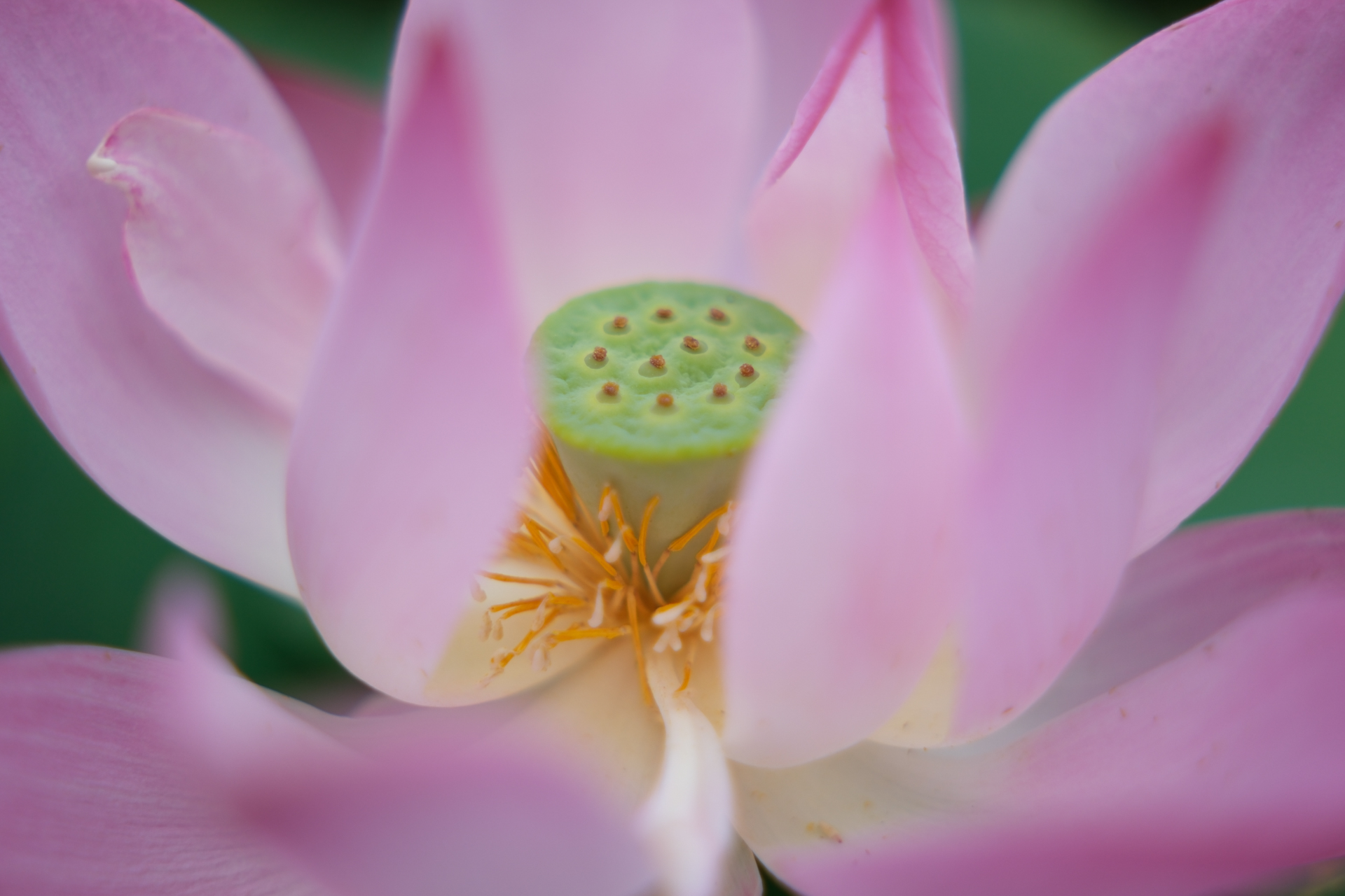 富士フイルム X-H2S／Sigma 17-40mm F1.8 DC｜Art／38.5mm（58mm相当）／絞り優先AE（1/1,600秒、F1.8、＋1EV）／ISO 160