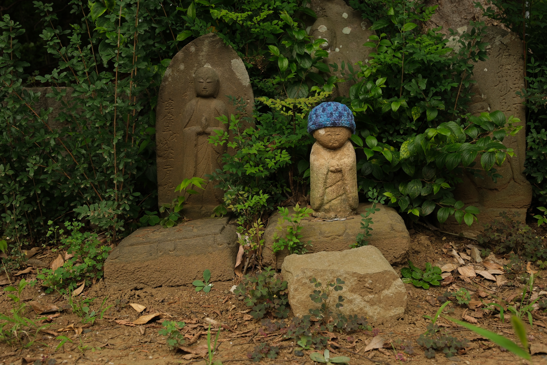 富士フイルム X-H2S／Sigma 17-40mm F1.8 DC｜Art／27.5mm（41mm相当）／絞り優先AE（1/55秒、F5.6、＋1EV）／ISO 160