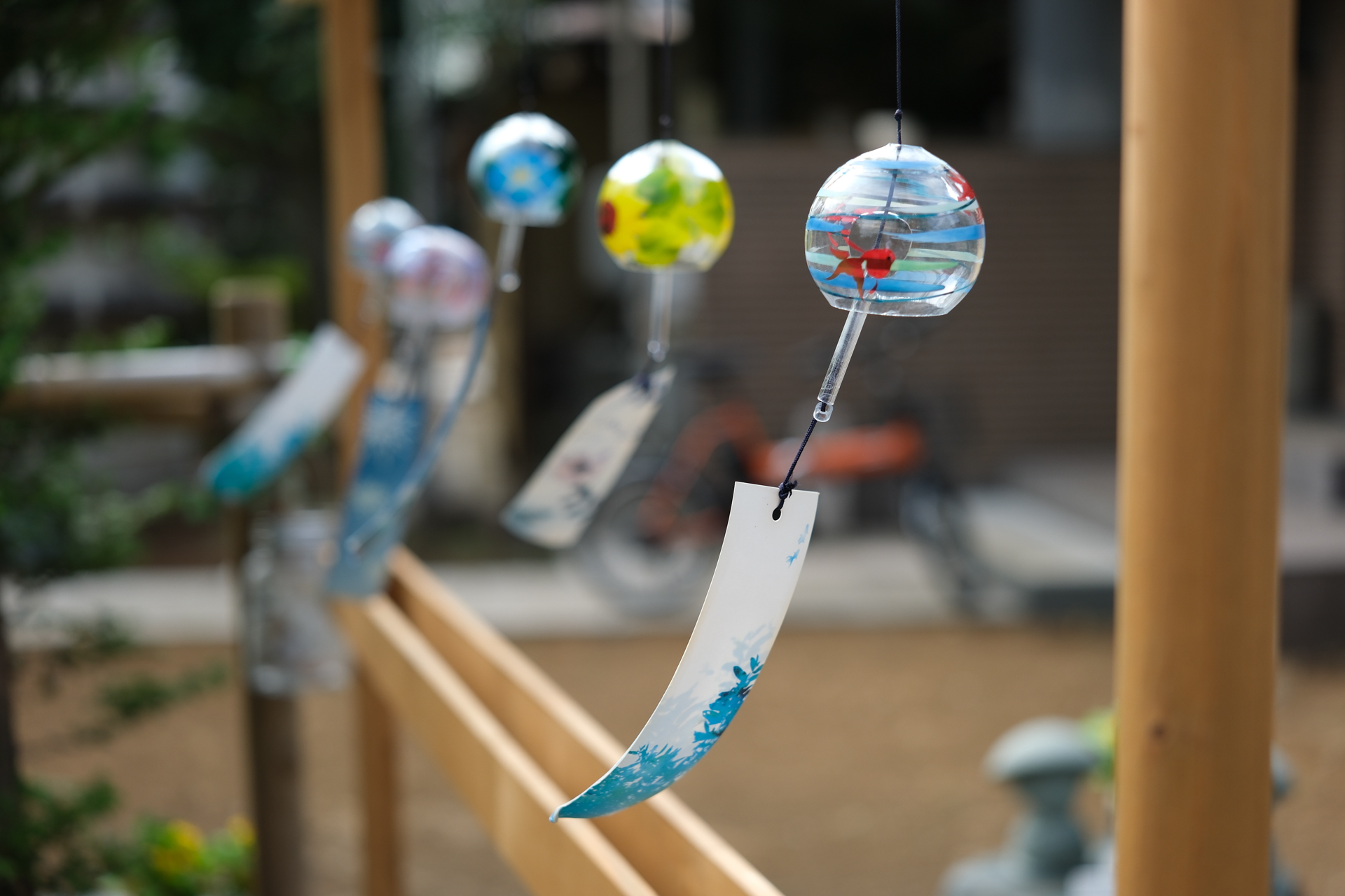 富士フイルム X-H2S／Sigma 17-40mm F1.8 DC｜Art／34.2mm（51mm相当）／絞り優先AE（1/1,100秒、F2.0、＋1EV）／ISO 160