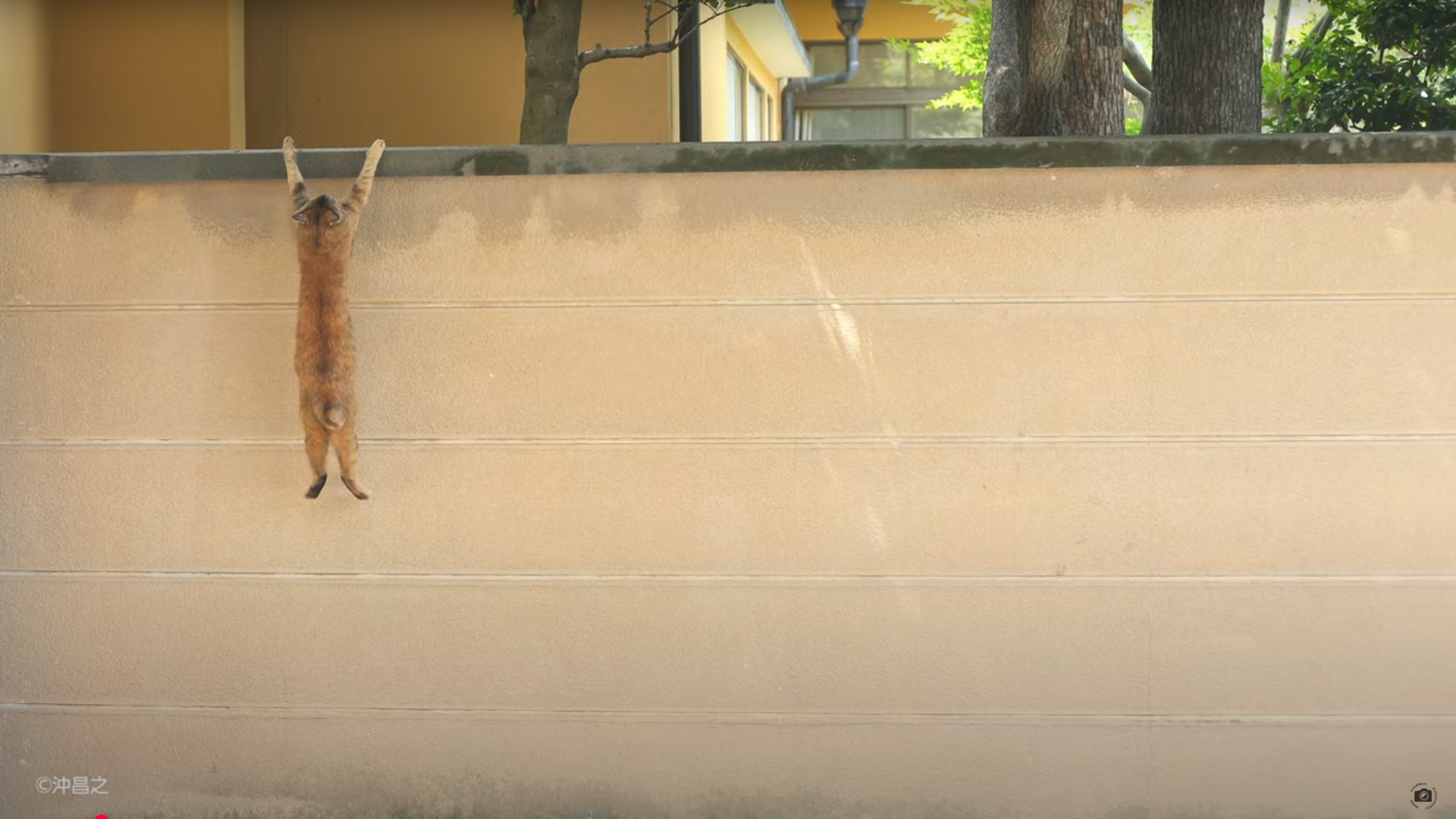 沖さんのベストショット