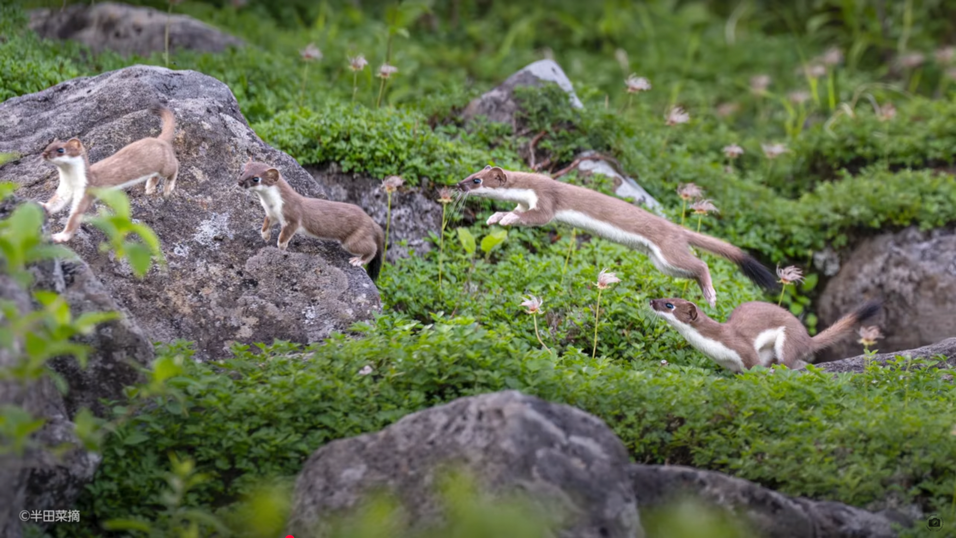半田さんのベストショット