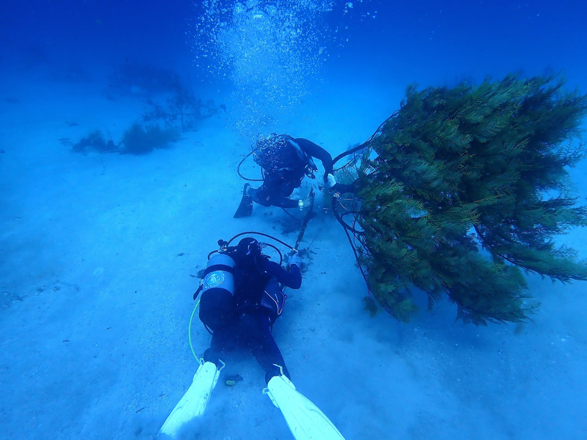 産卵床設置の様子（水中）