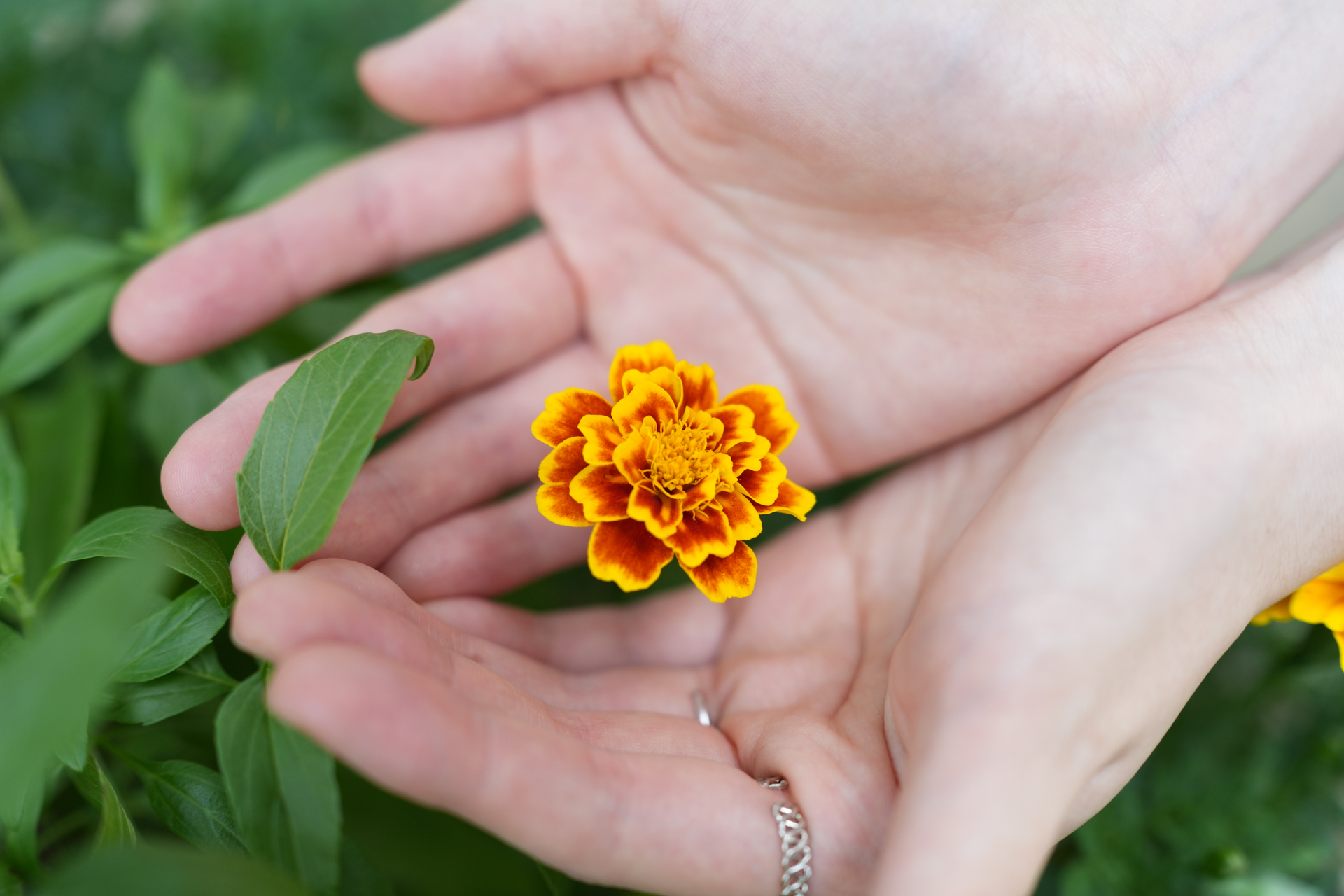 ソニー α7R V／FE 50-150mm F2 GM／50mm／絞り優先AE（1/500秒、F2.8、＋1EV）／ISO 400