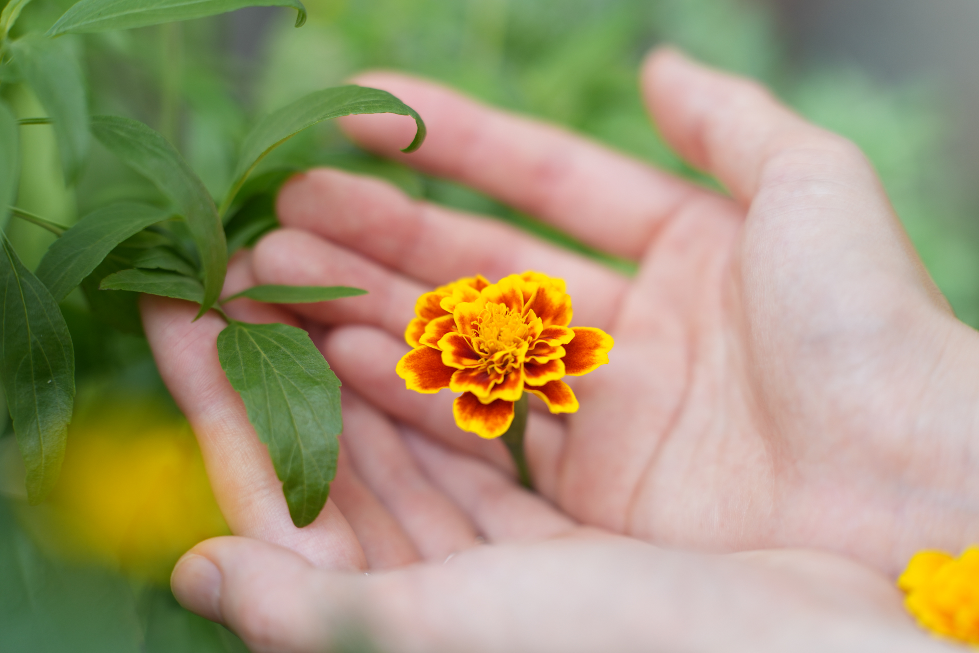 ソニー α7R V／FE 50-150mm F2 GM／150mm／絞り優先AE（1/800秒、F2.8、＋1EV）／ISO 400