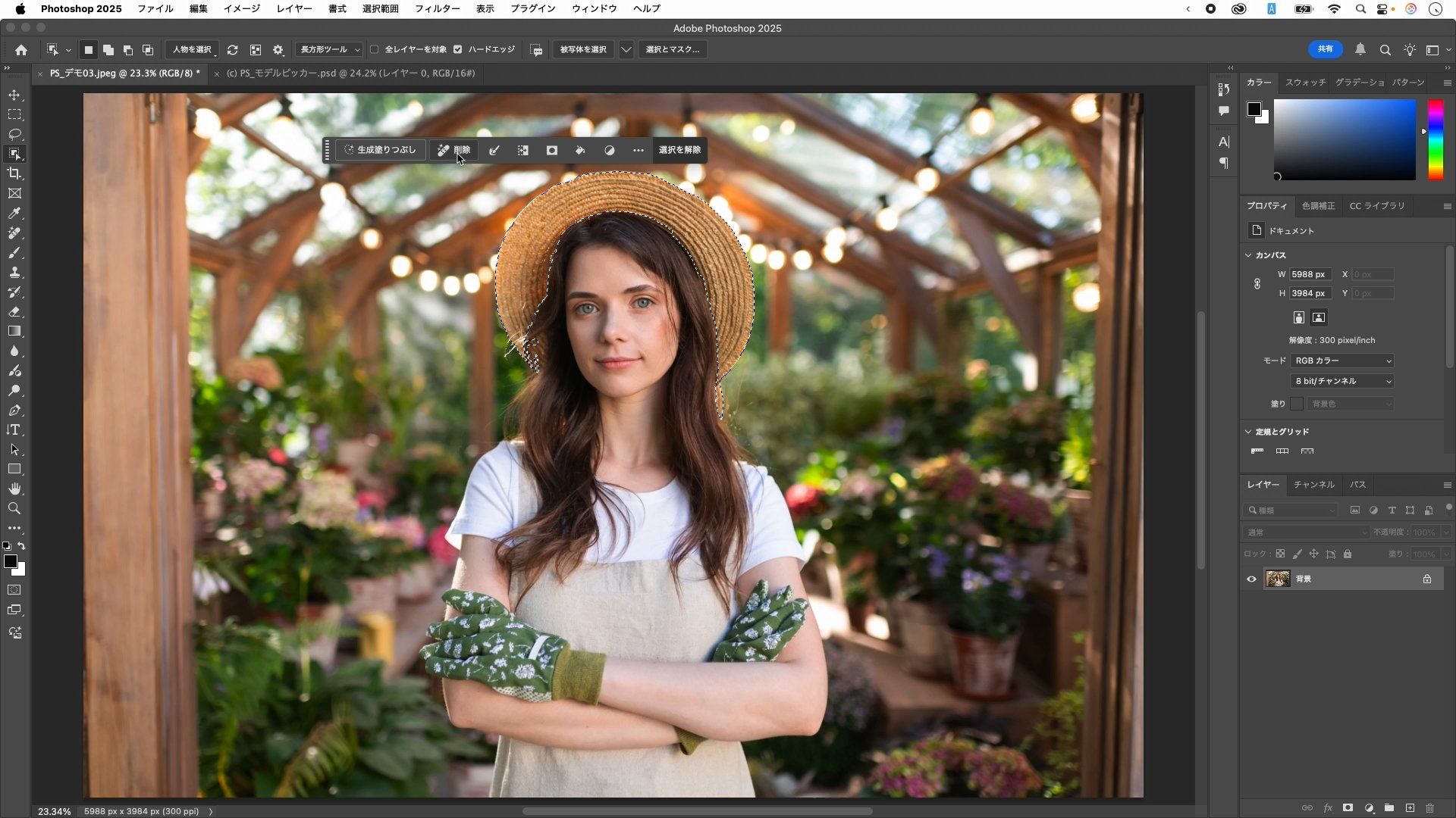 麦わら帽子を選択したところ