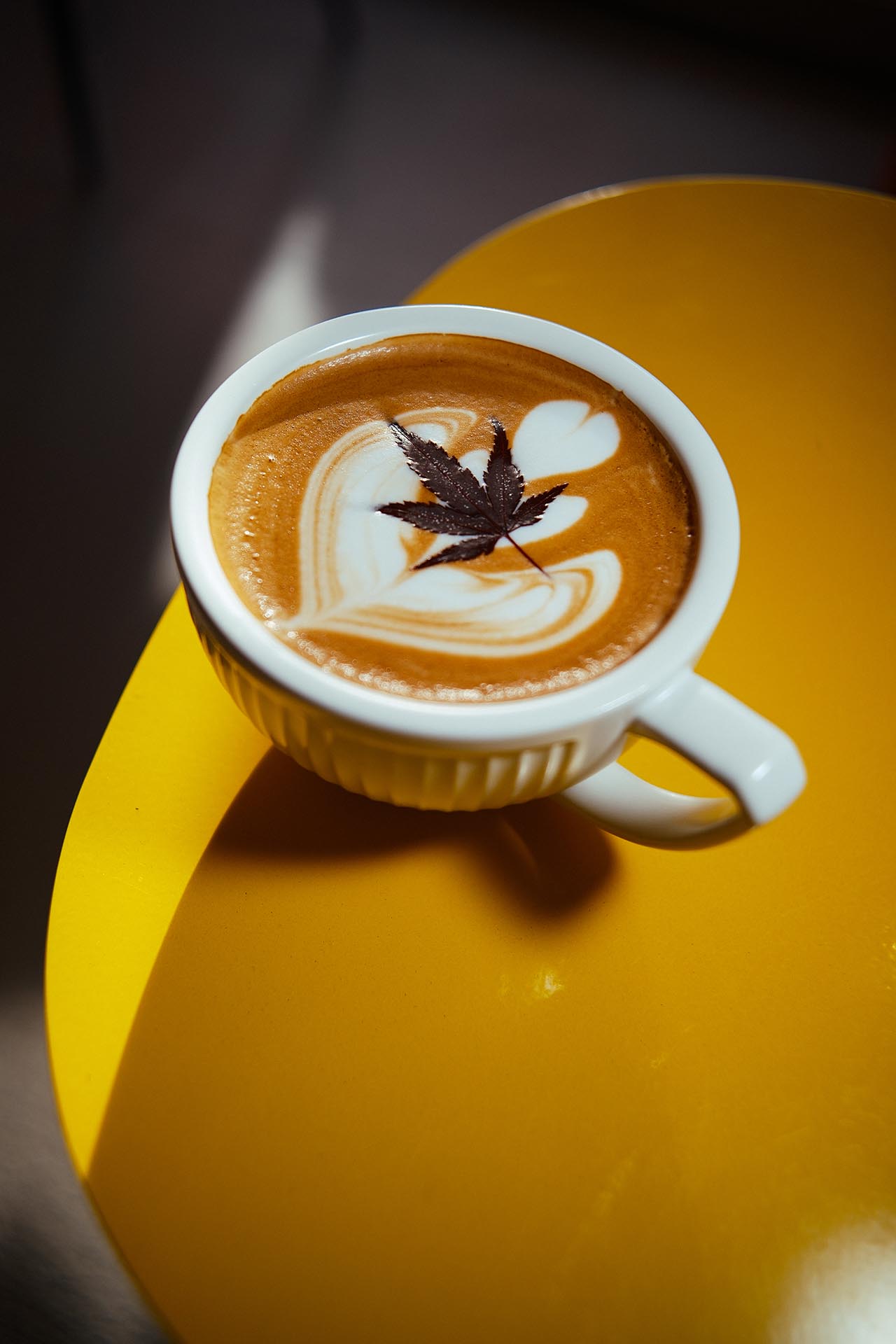 提供：株式会社焦点工房