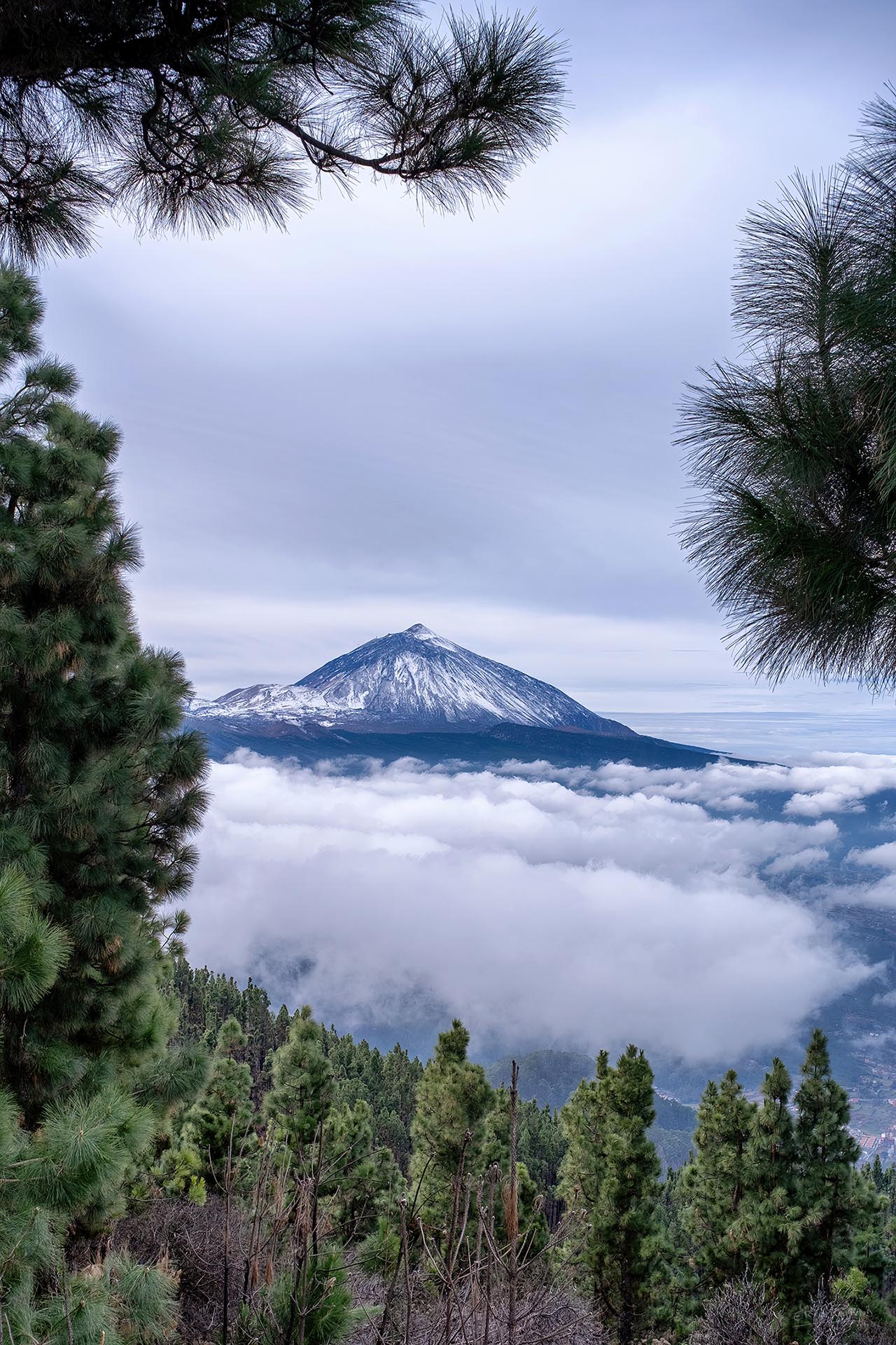 提供：株式会社焦点工房