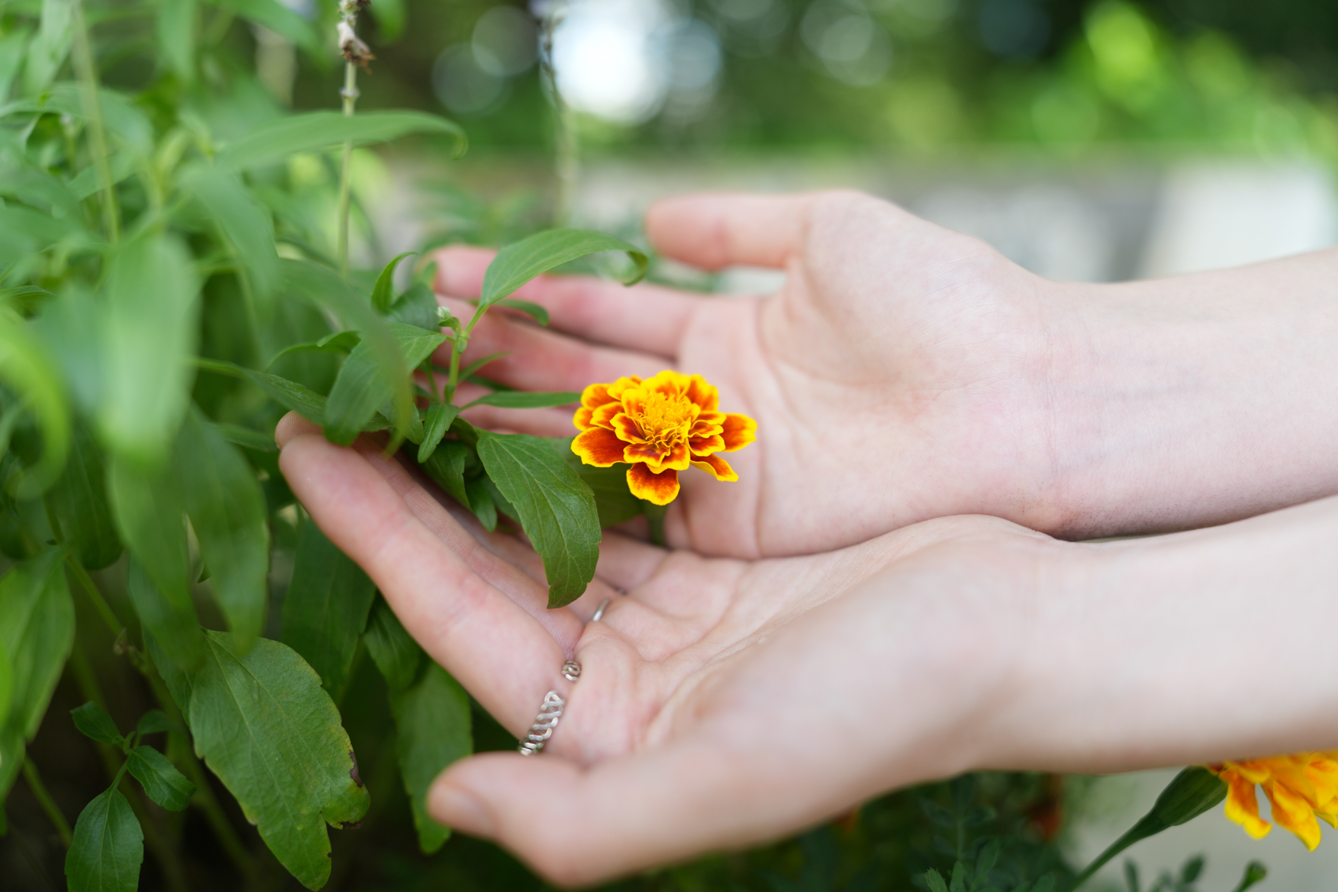 ソニー α7R V／FE 28-70mm F2 GM／28mm／絞り優先AE（1/200秒、F2.0、＋1EV）／ISO 100