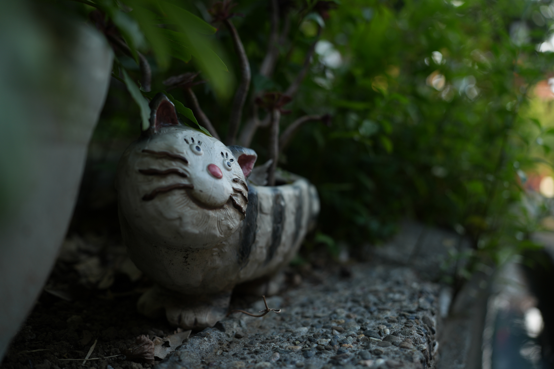 ソニー α7R V／FE 28-70mm F2 GM／28mm／絞り優先AE（1/160秒、F2.0、−1.7EV）／ISO 100